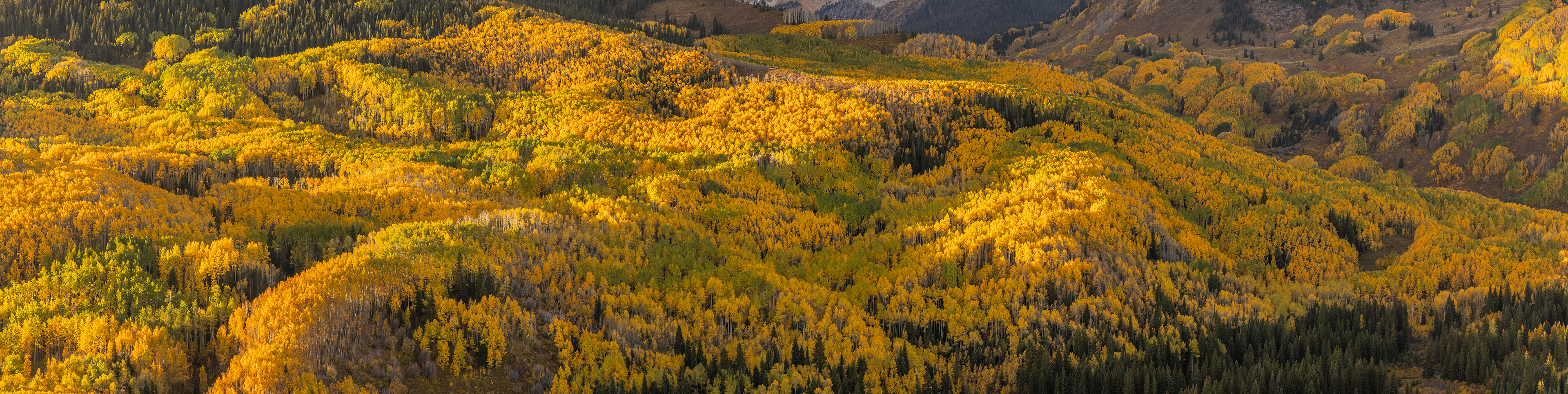 The Hillside at Capital Peak