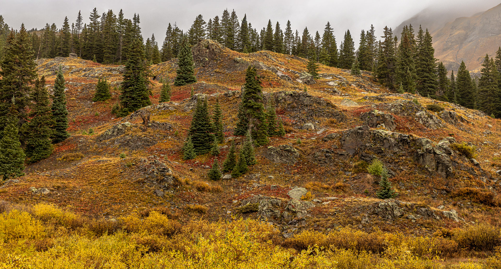 The Hillside