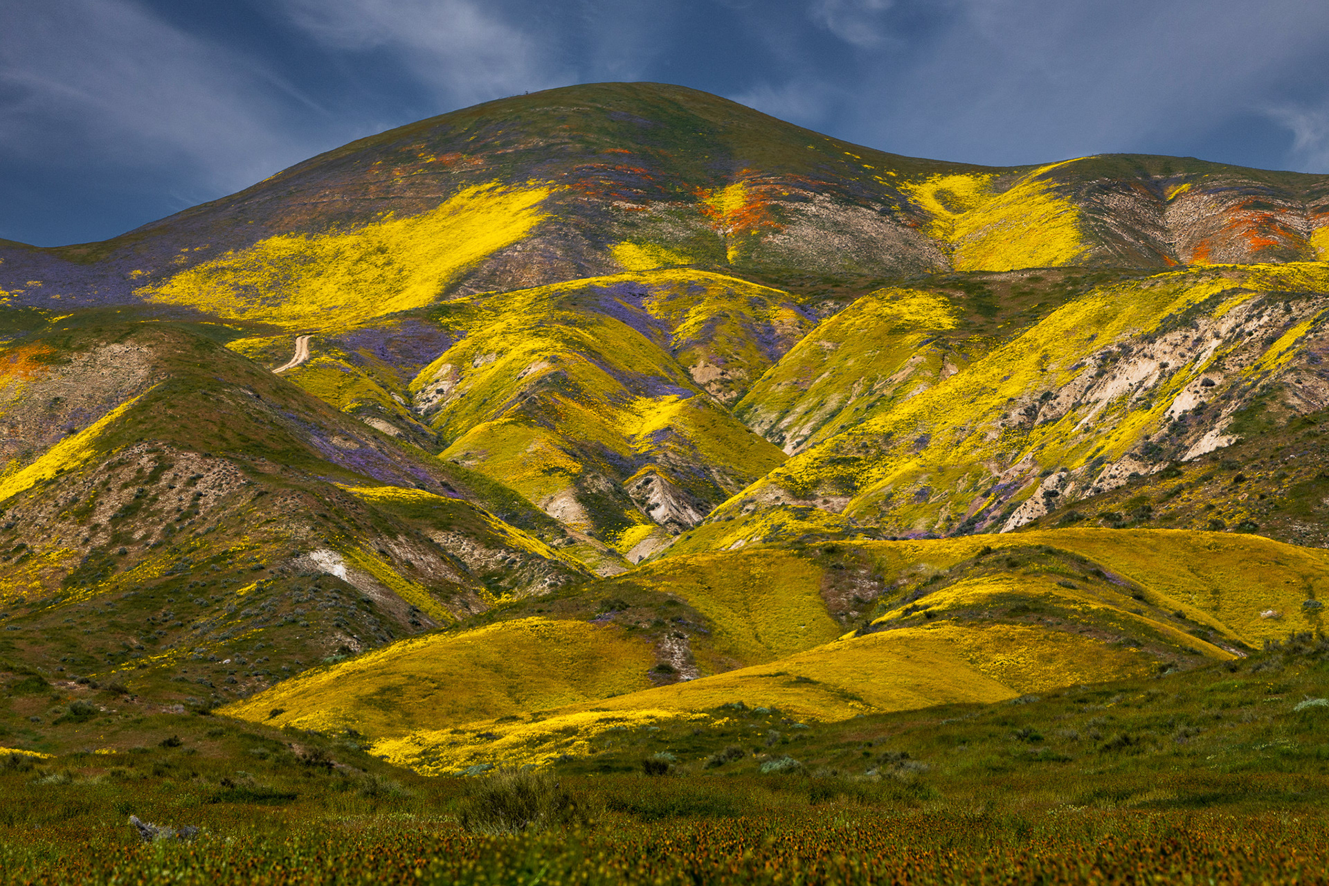 Carrizo Plain National Monument