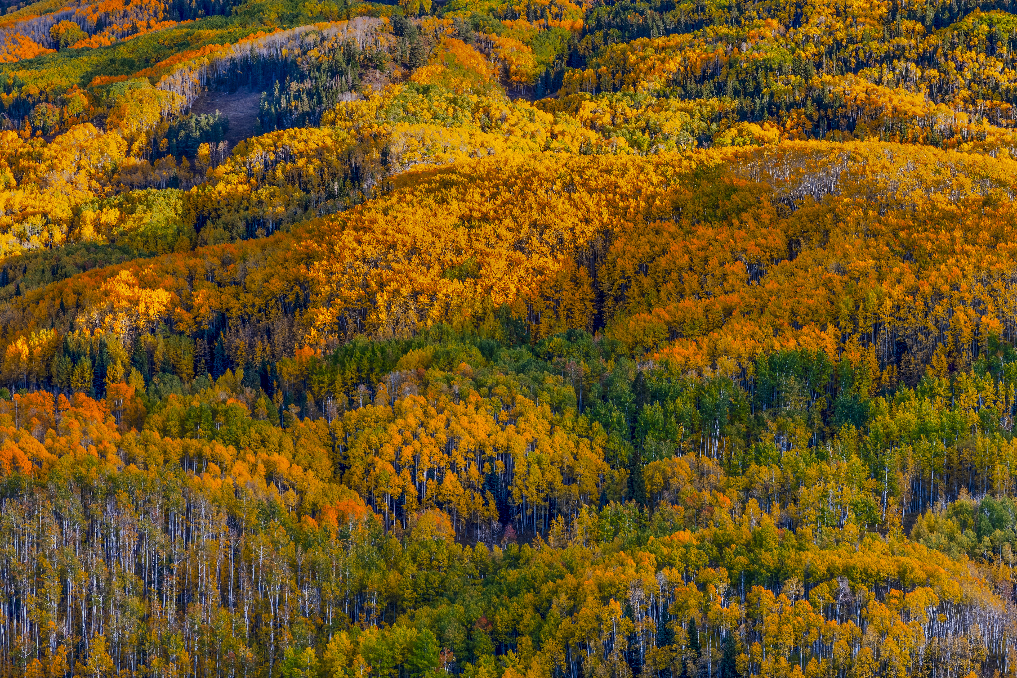 Fall Layers