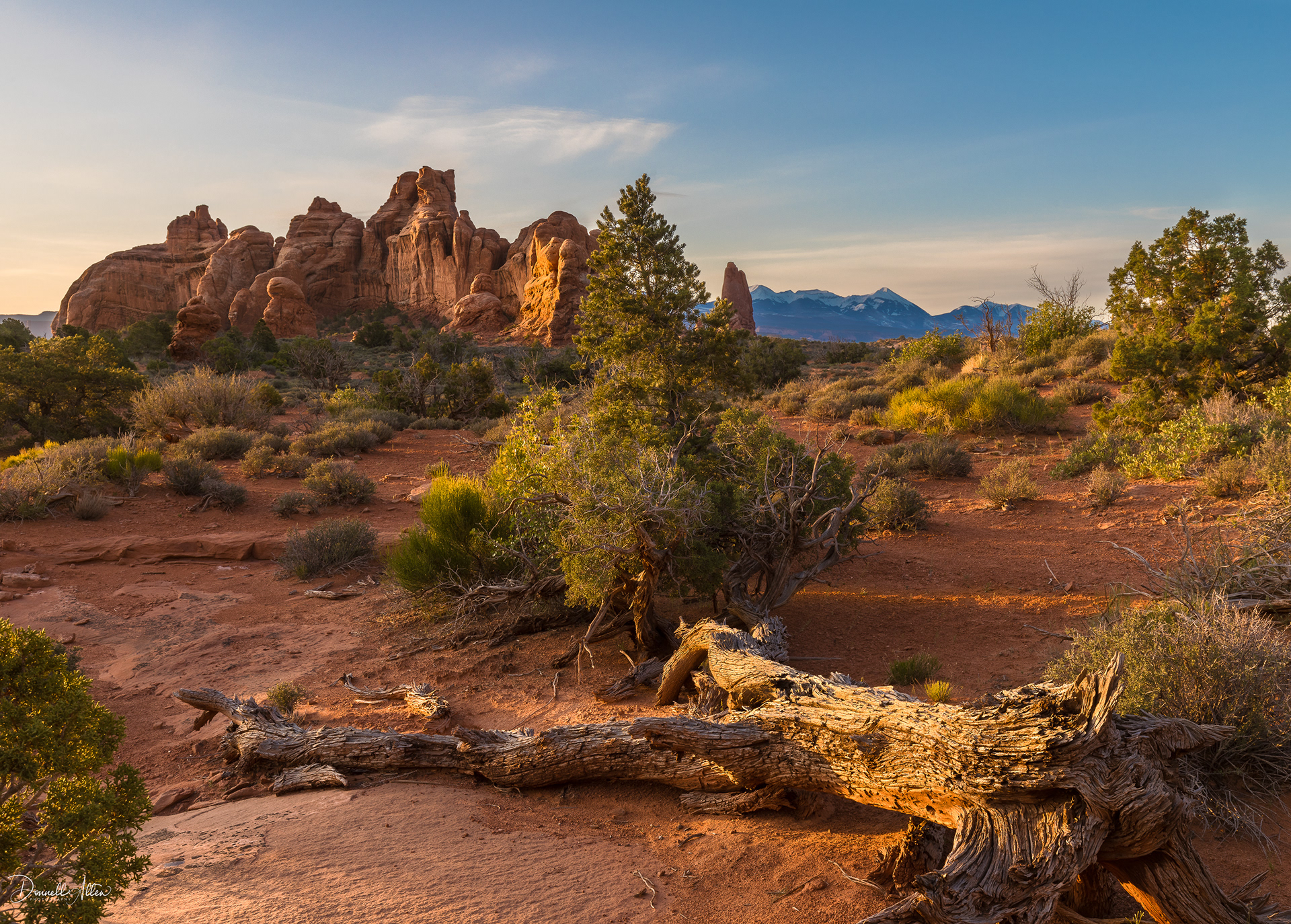 Arches National Park
