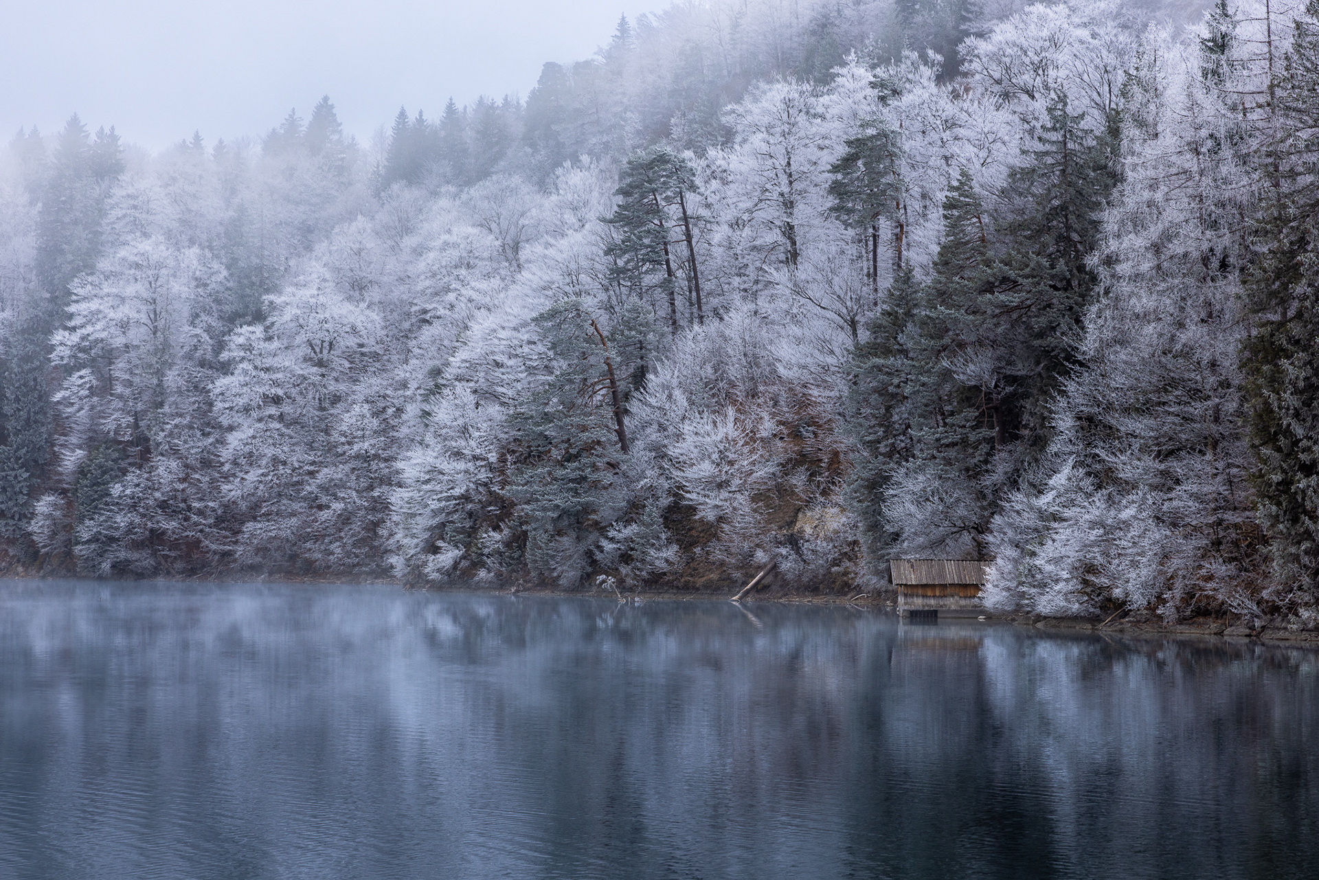 Lake Alpsee