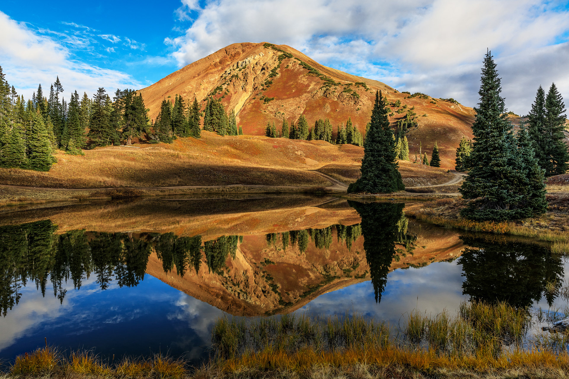 Nature's Mirror