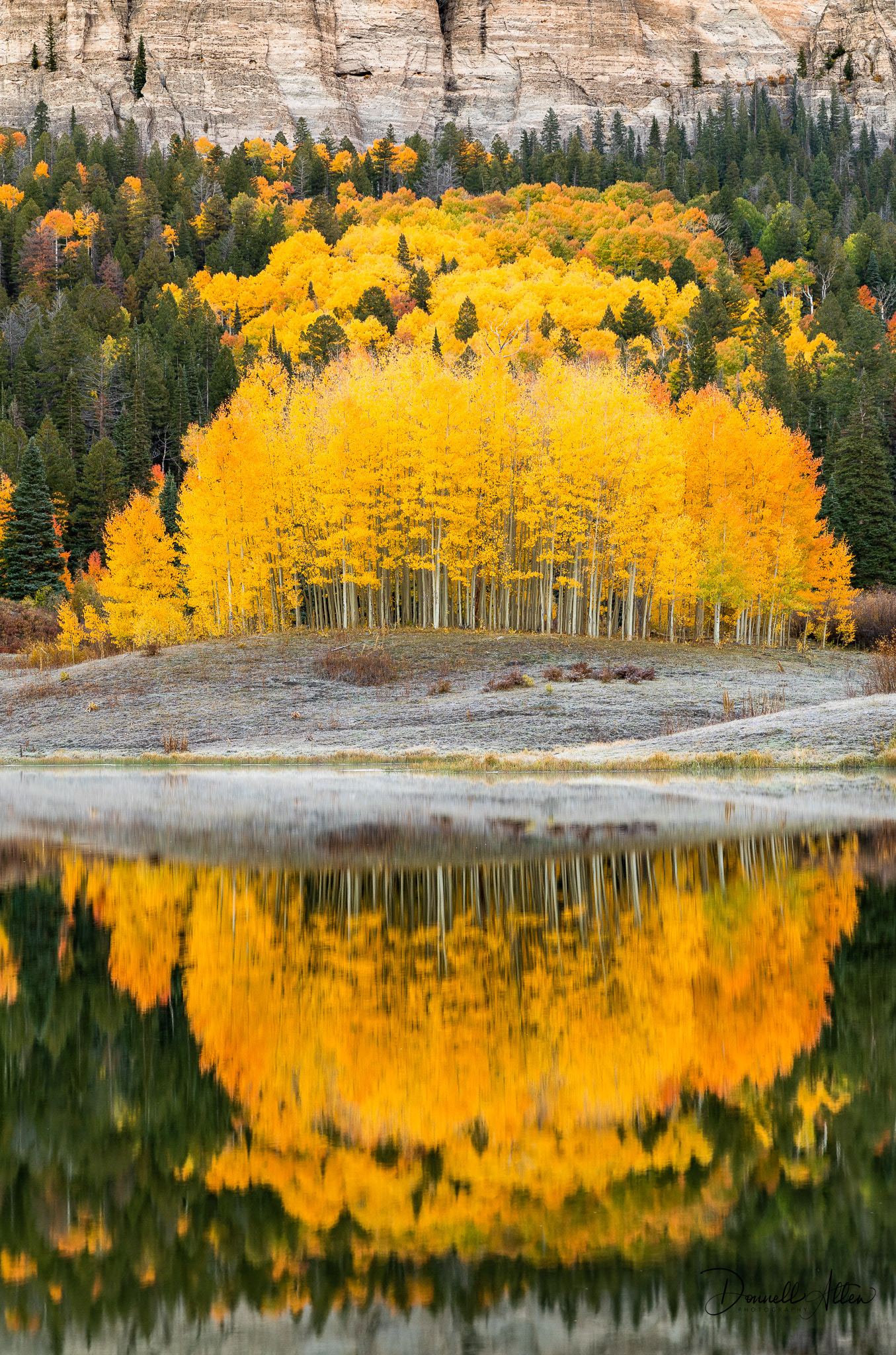 Frost, Mist & Aspen Layers