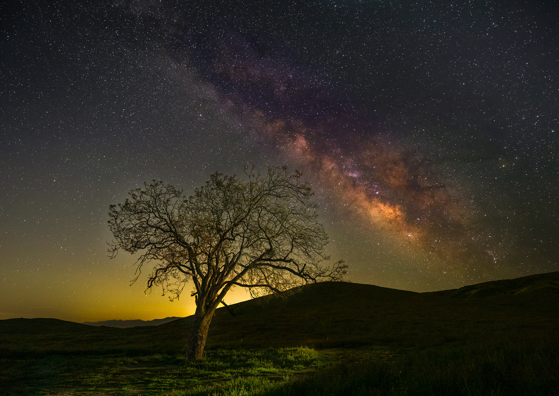 Carrizo Plain Lone Tree & Milky Way