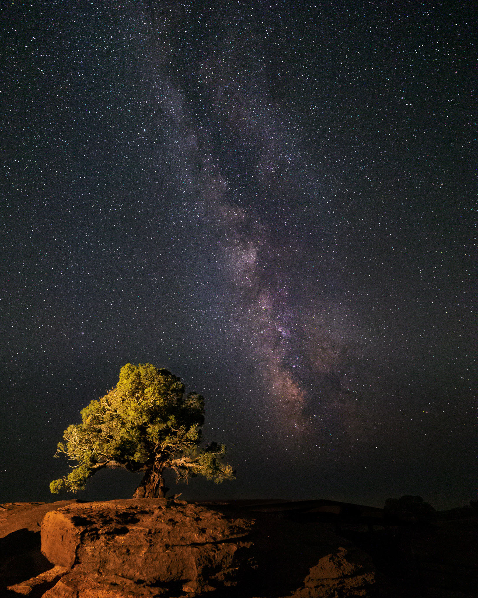 Juniper Tree & Milky Way