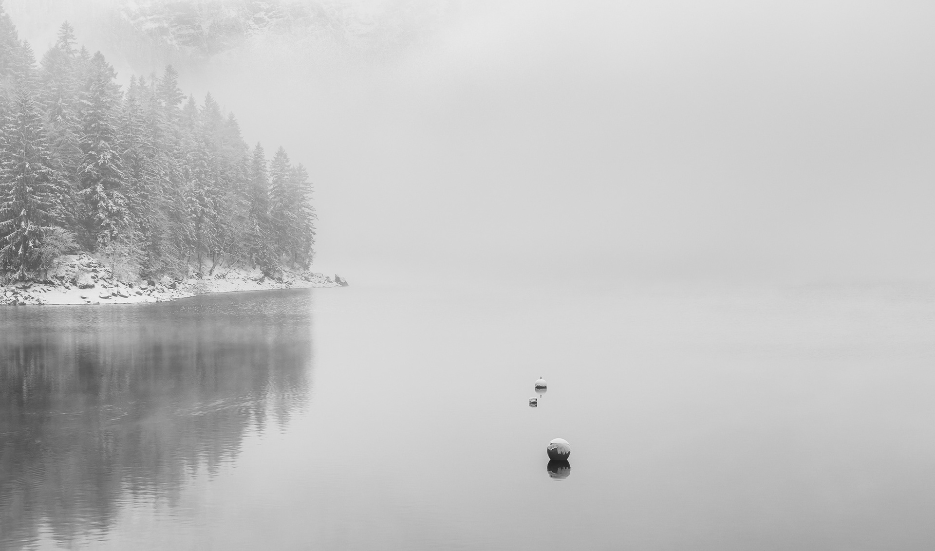 Fog & Buoy