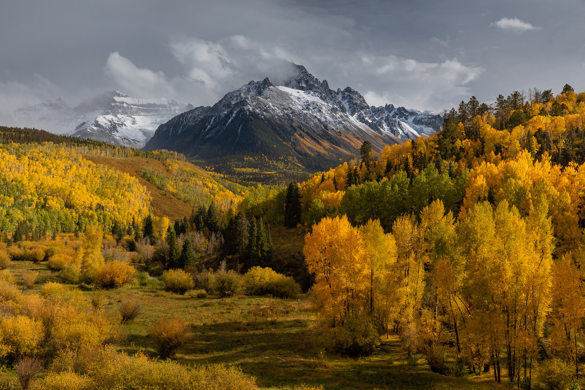 Mt. Sneffels Fall Meadow