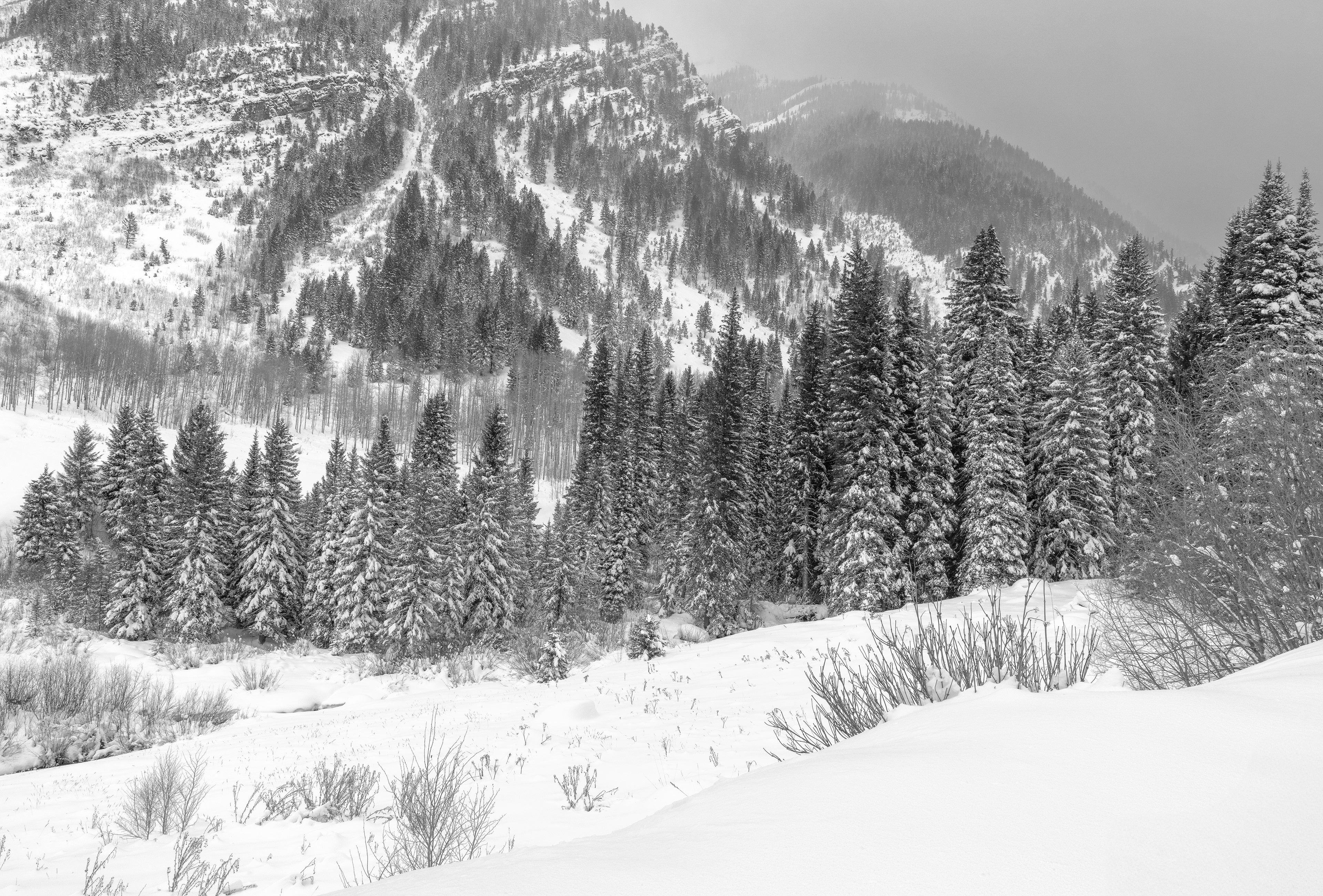 Snowshoeing Views