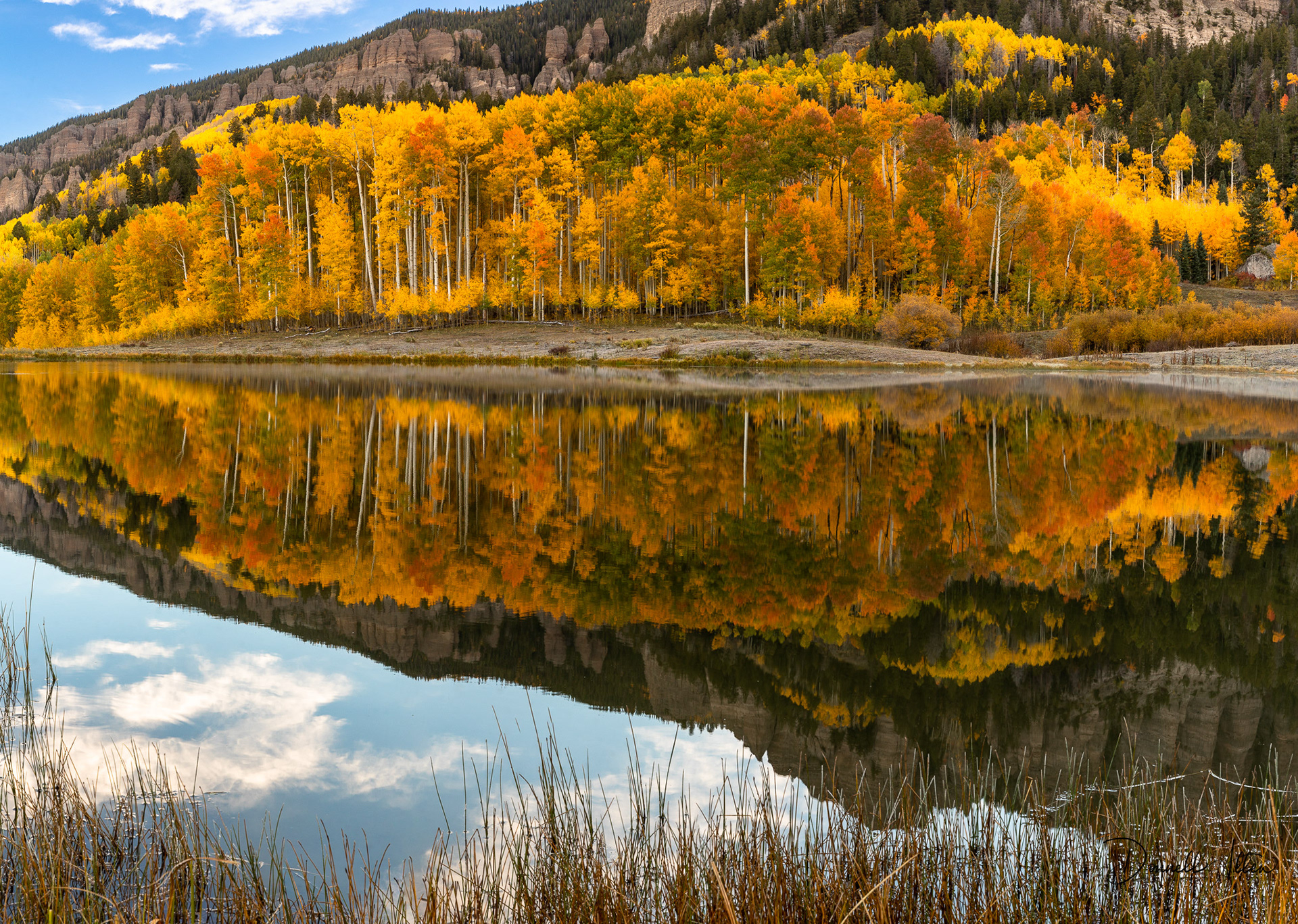 Color Reflection