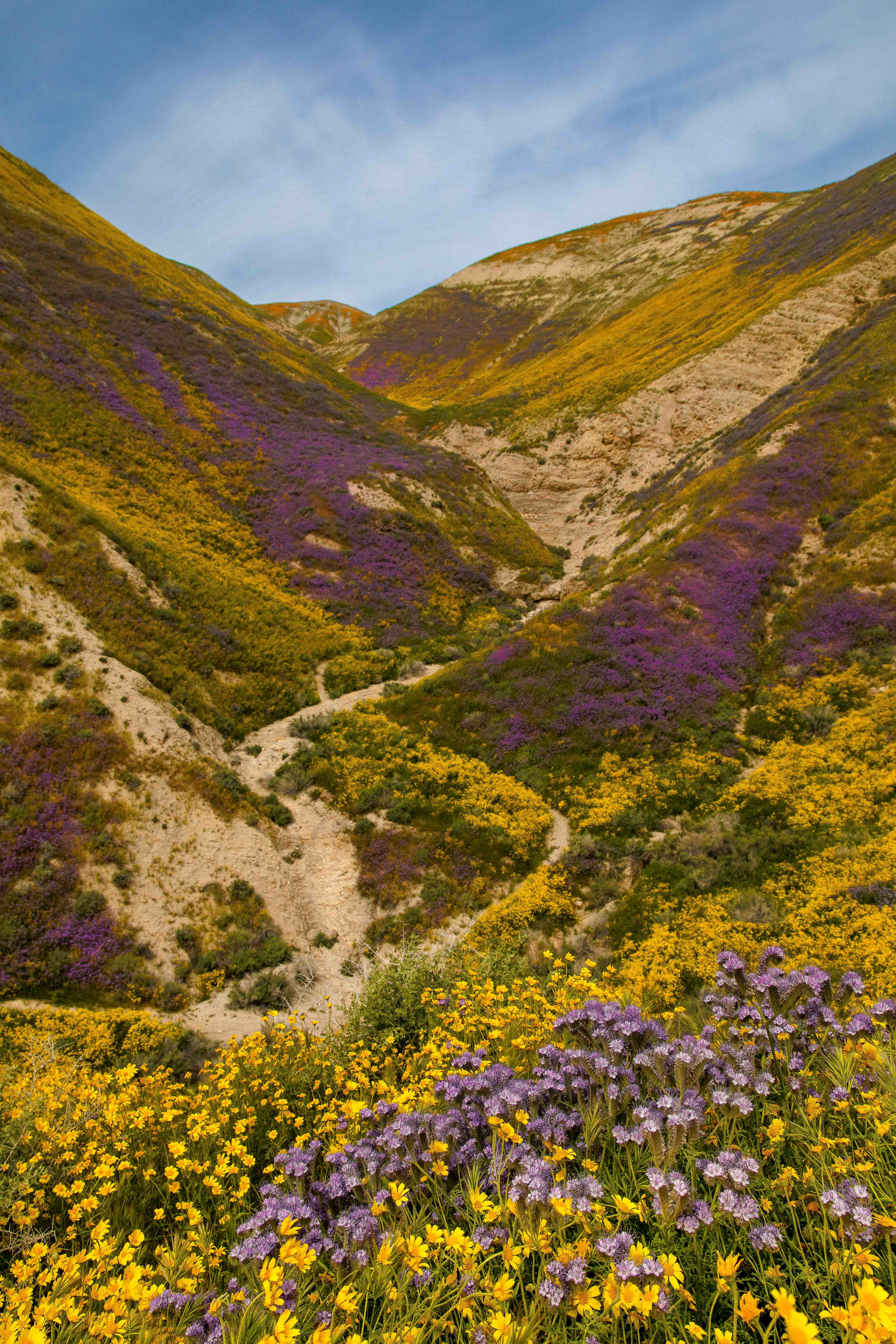 A Carrizo Trail