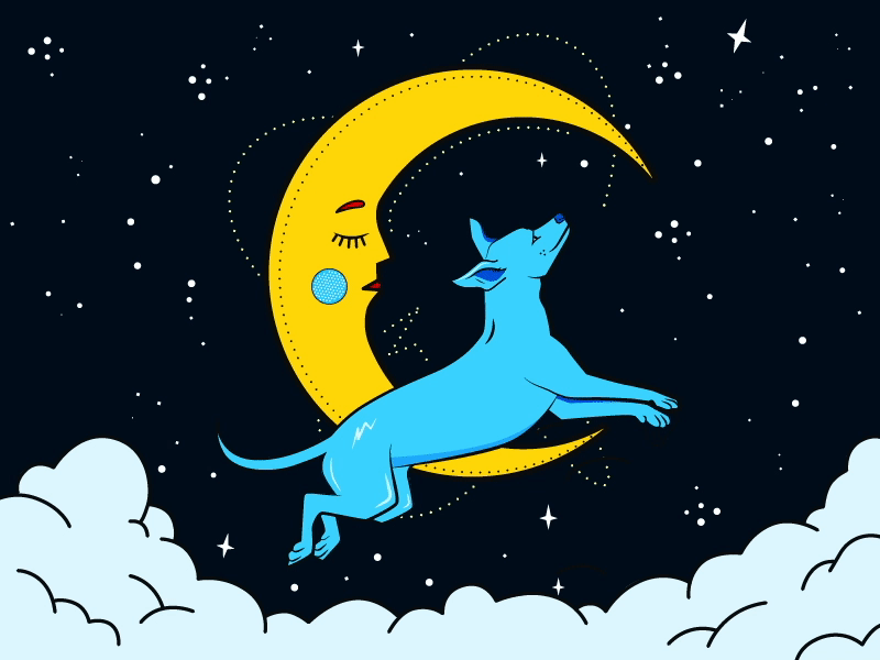 Over the Moon, Illustration + Motion