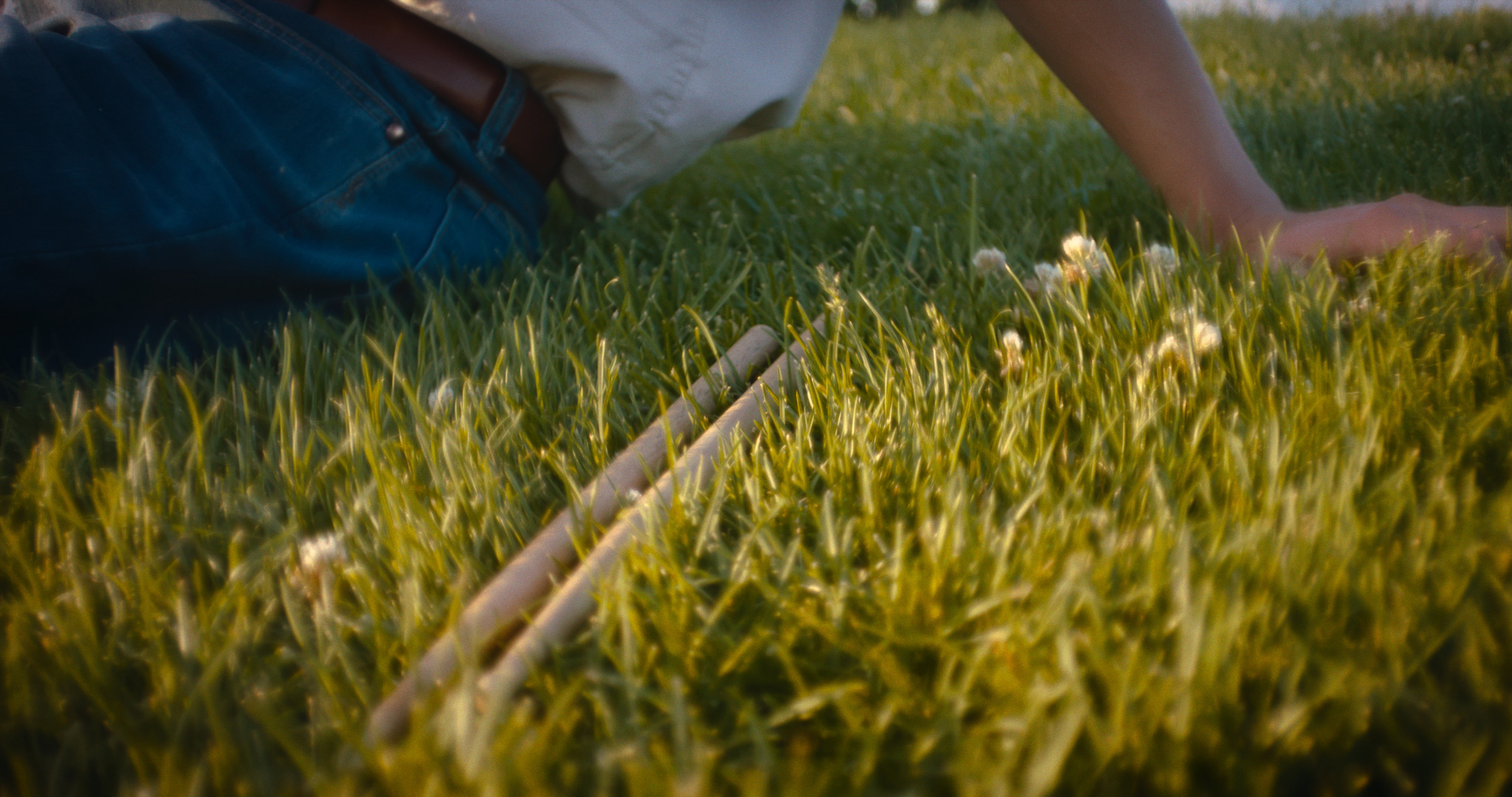 Petzval 80mm Lens Distortion