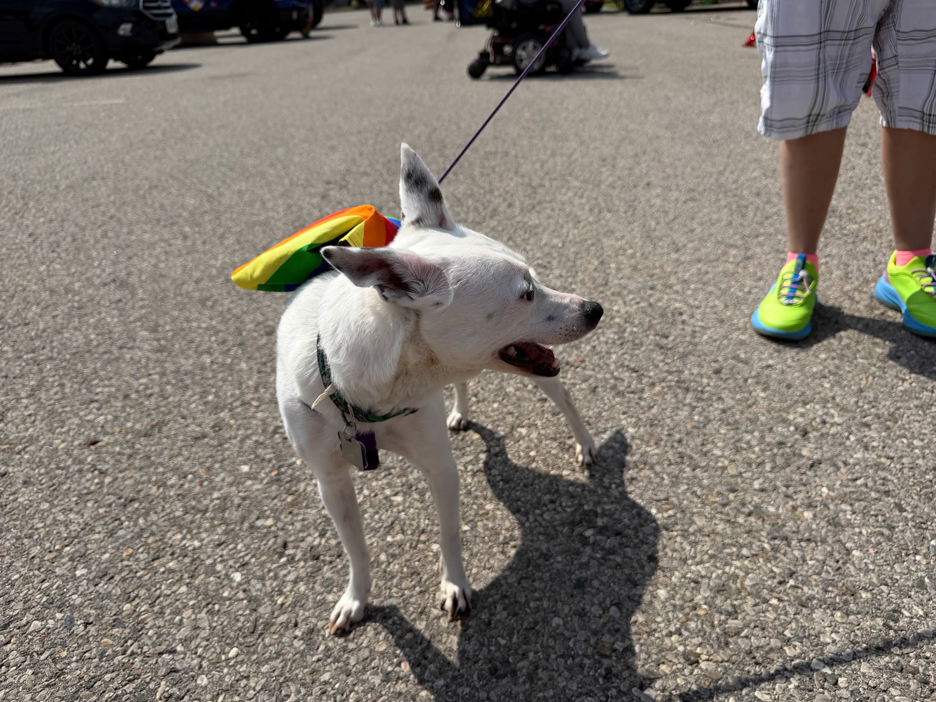 Pride London Parade - July 19, 2026