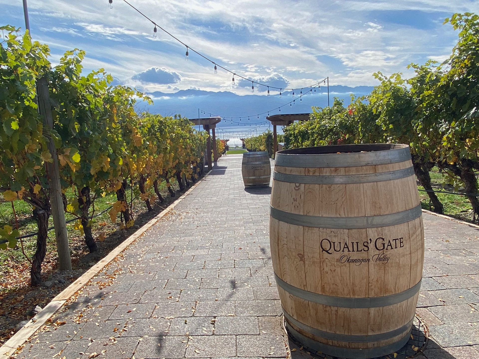 Quail's Gate winery