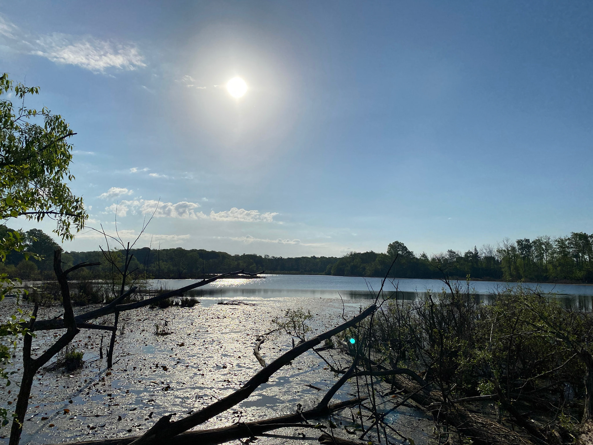 Walk with Jason and Ashley Plant at Westminster Ponds