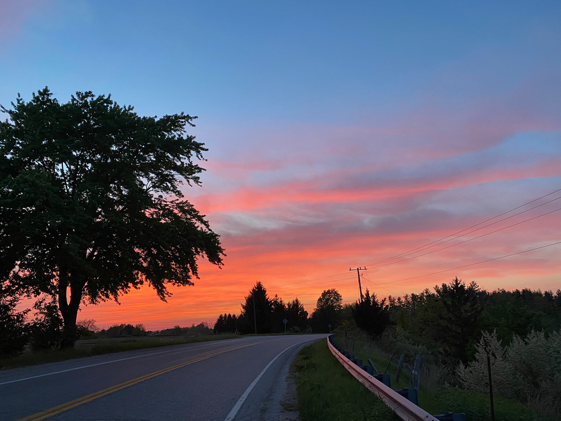 Visiting with Emerson at Laurence's B&amp;B in Iona
