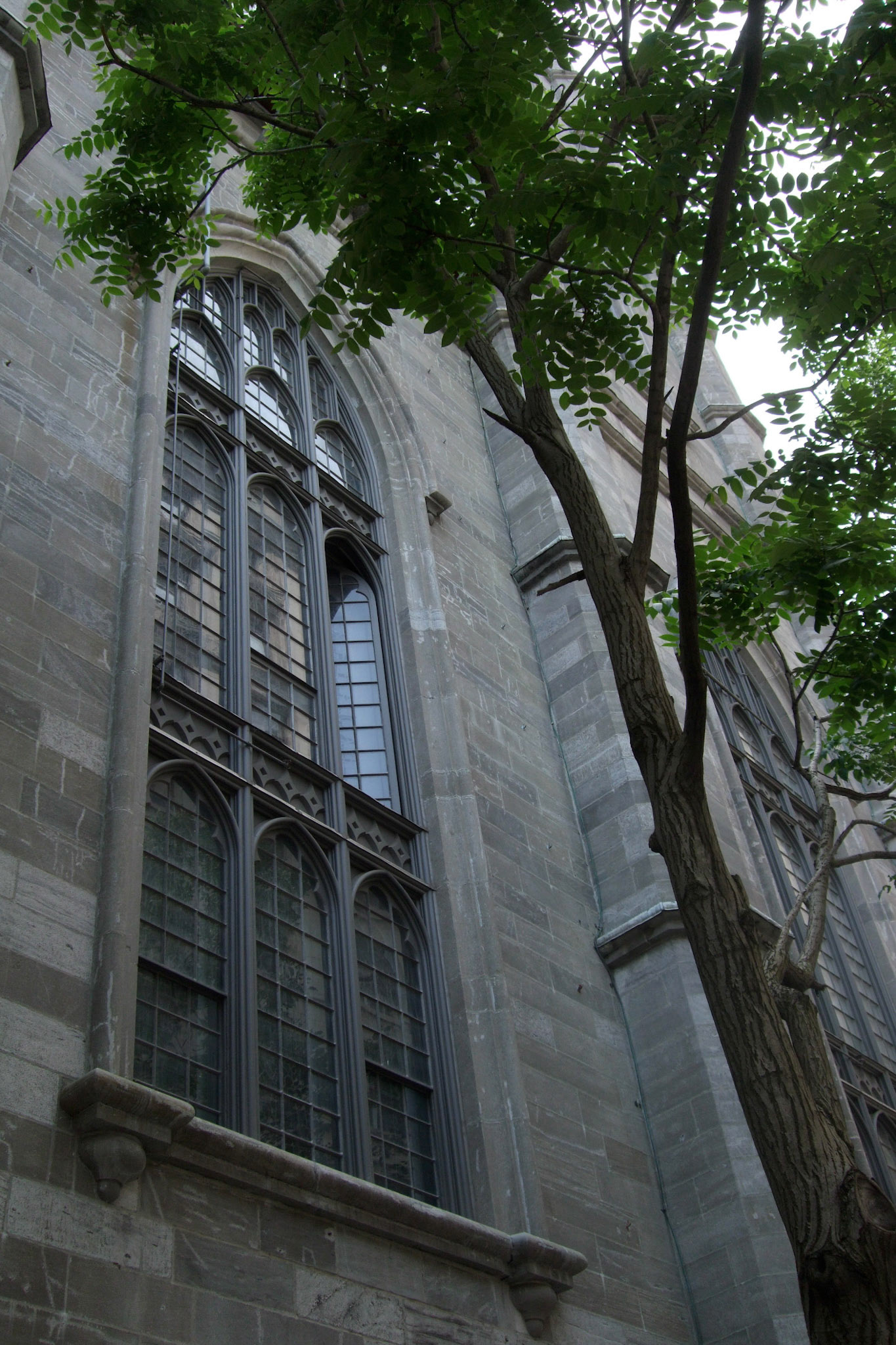 Intriciate window of Notre-Dame Basilica