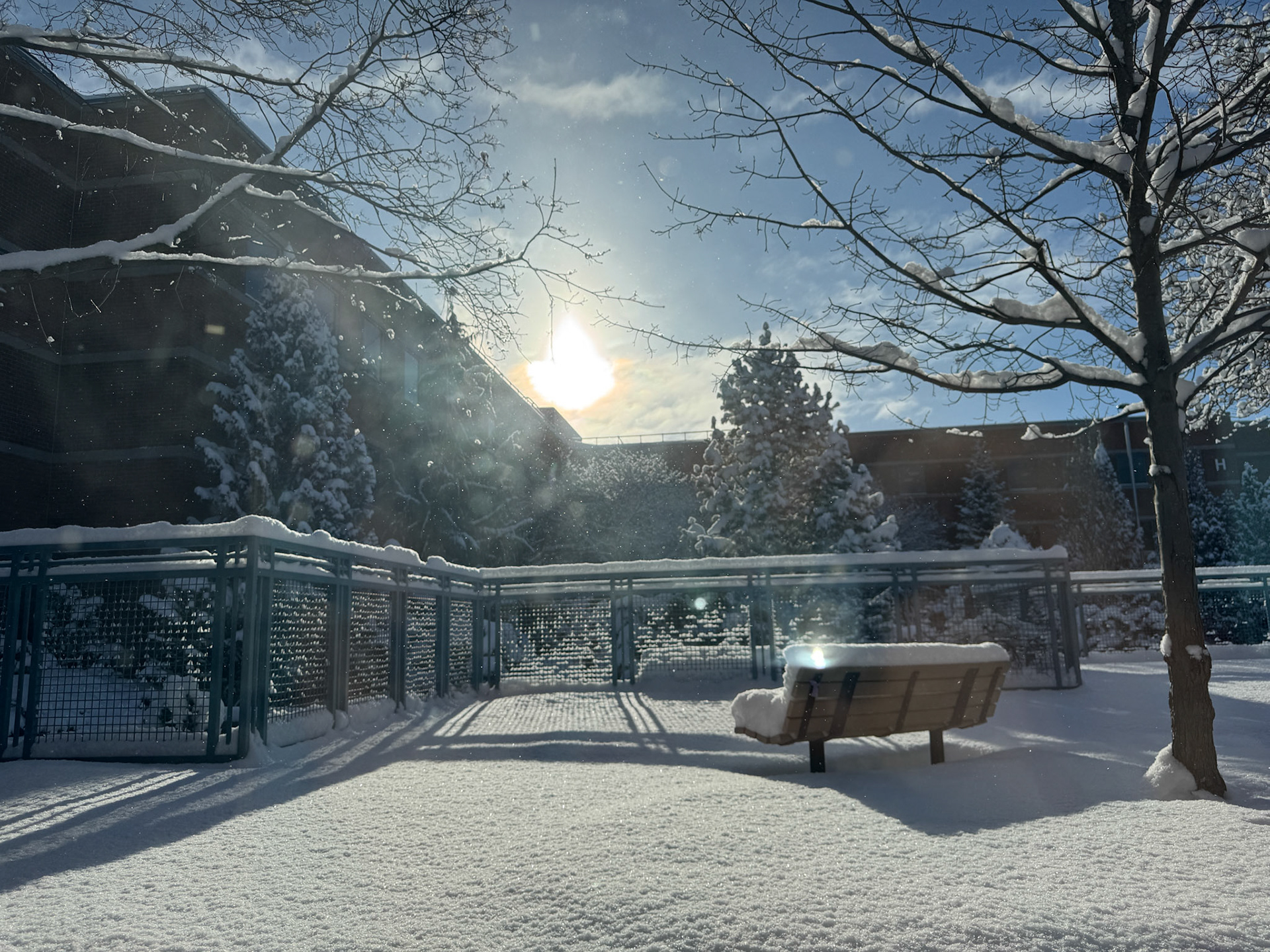 Sun and snow at Fanshawe Campus