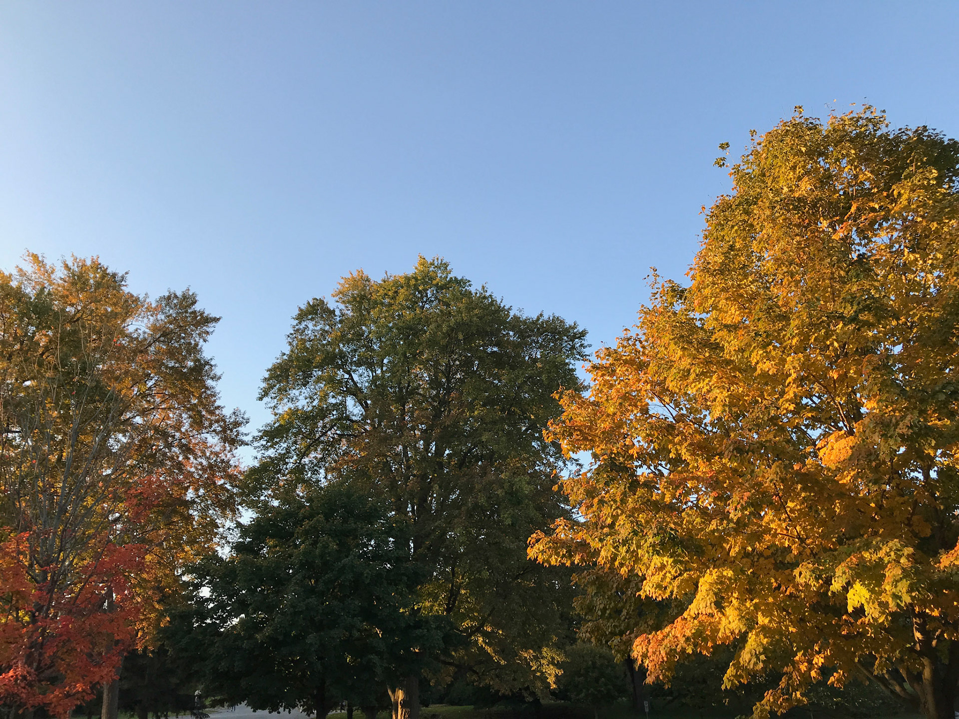 Thanksgiving sunrise, October 13, 2019