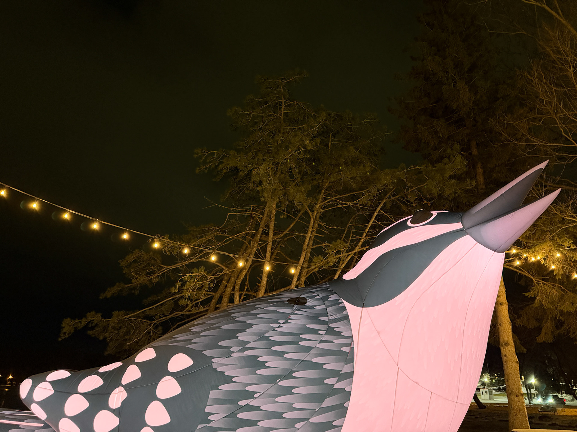 The Birds of a Feather installation at Tom Patterson Island