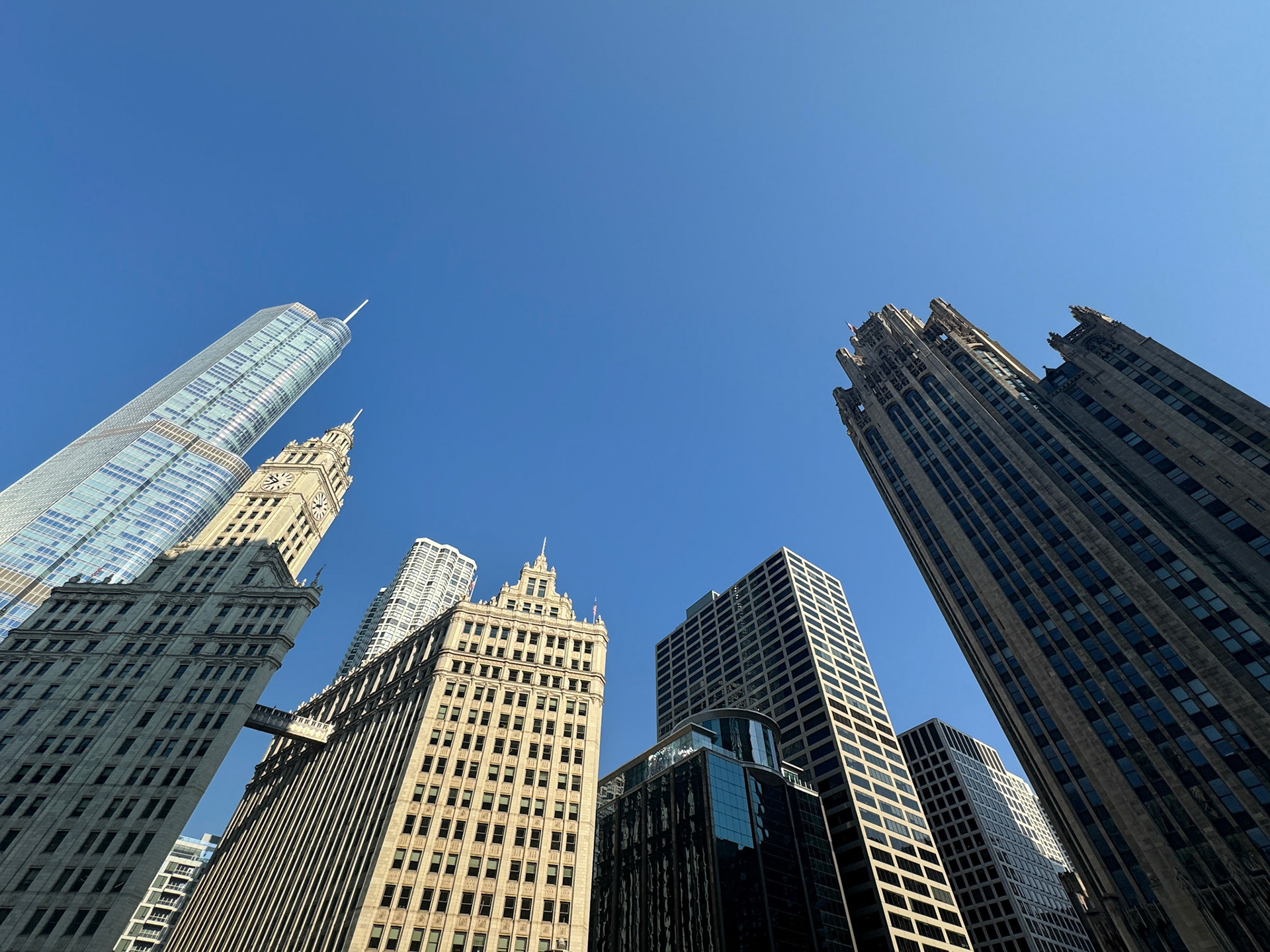 The Wrigley Building and the Tribune Building