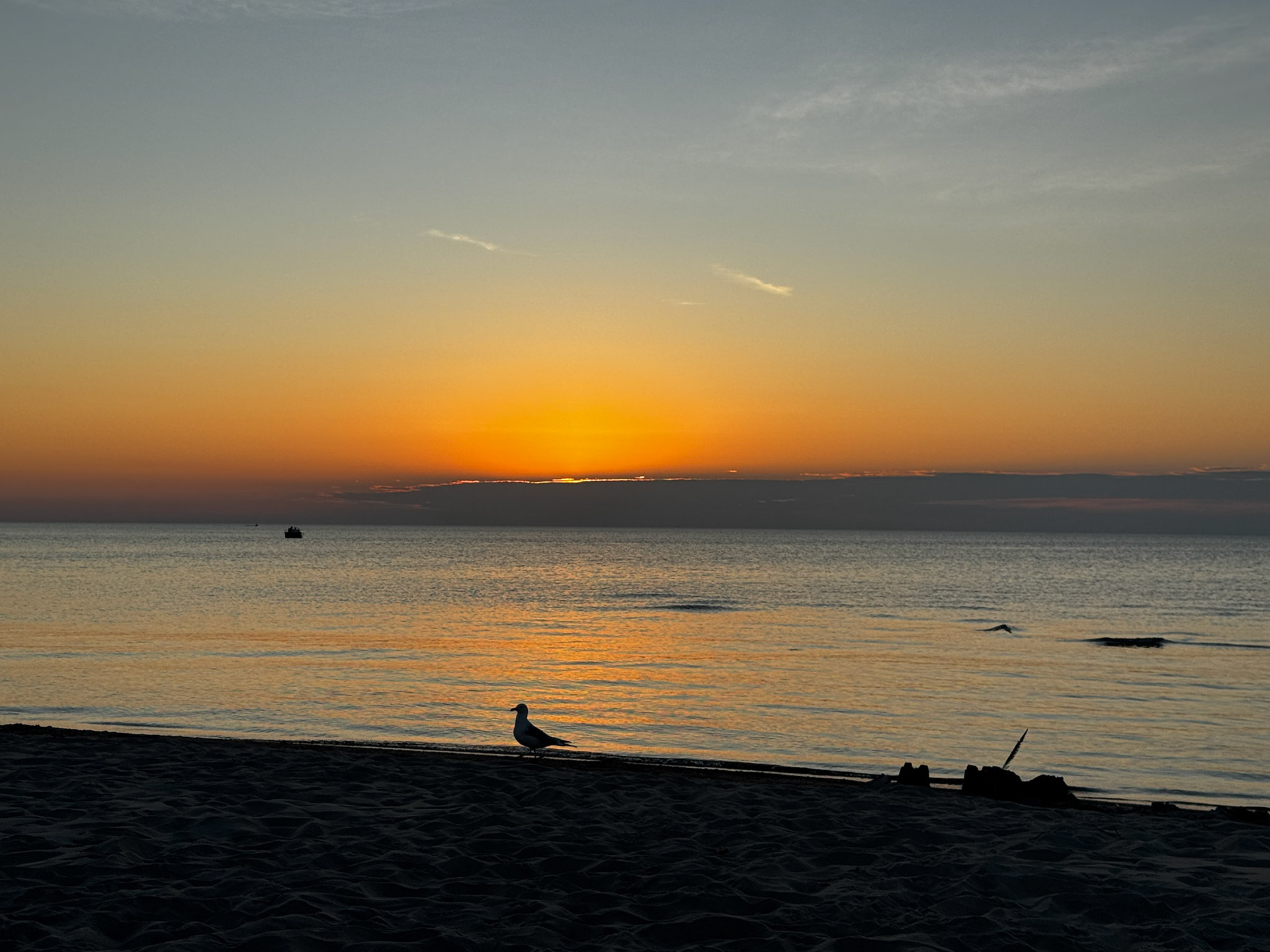 Port Franks sunset with Emerson - July 23, 2025