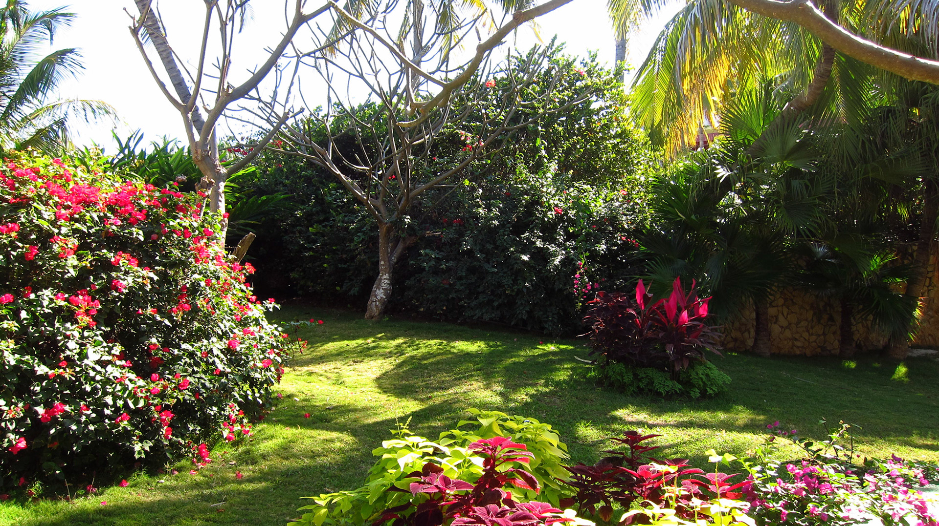Beautiful gardens and grounds of Breezes Bella Costa