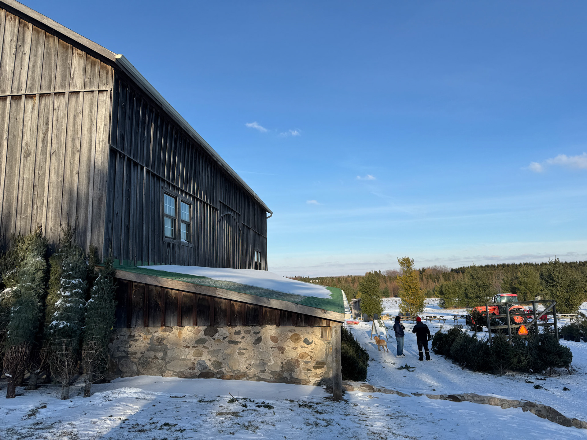 The historic barn at Elliot Tree Farm