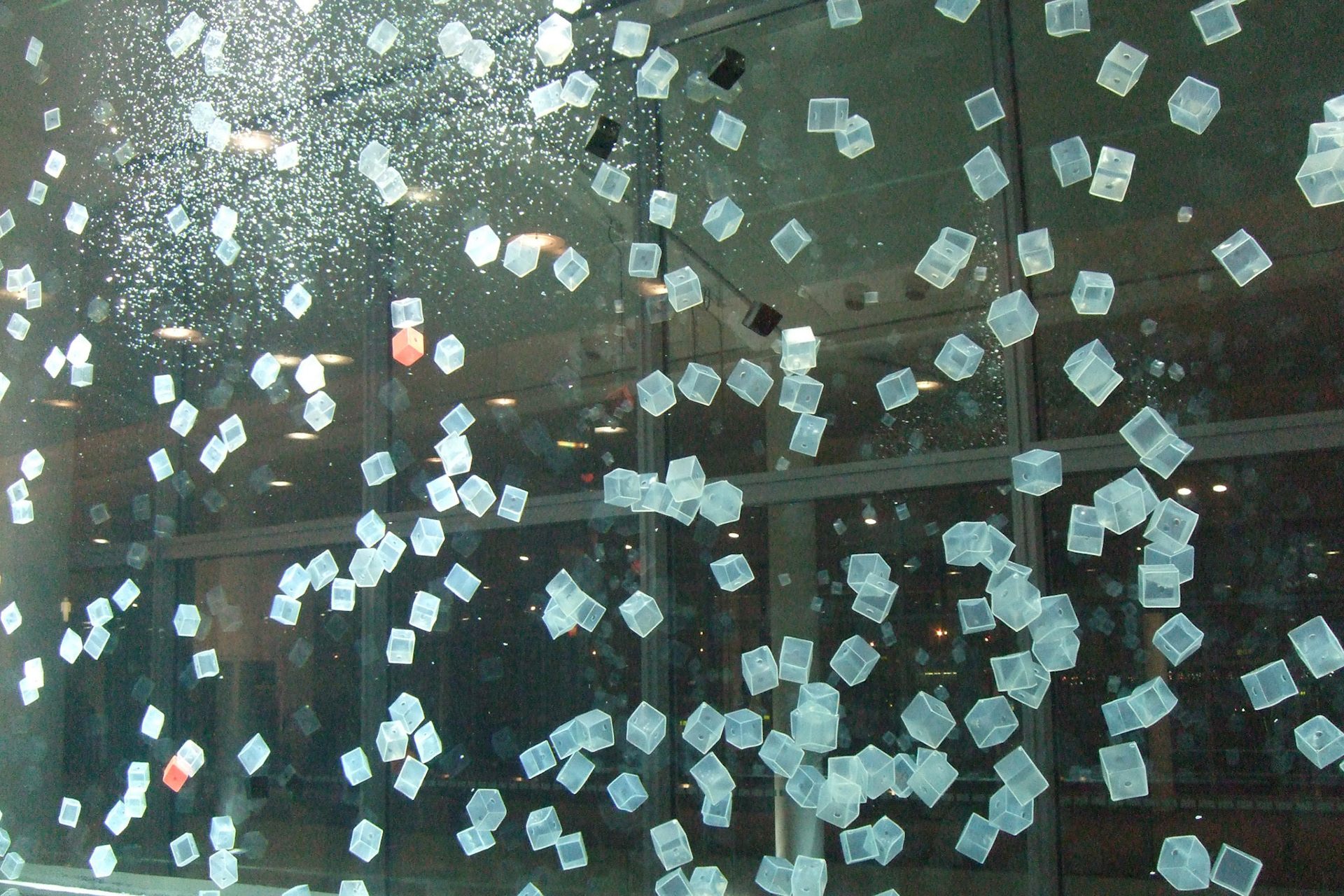 A crazy-artistic shot to start off the photoset of the craziest New Year's adventure I've had: trip with my friend Tate to Paris, France!