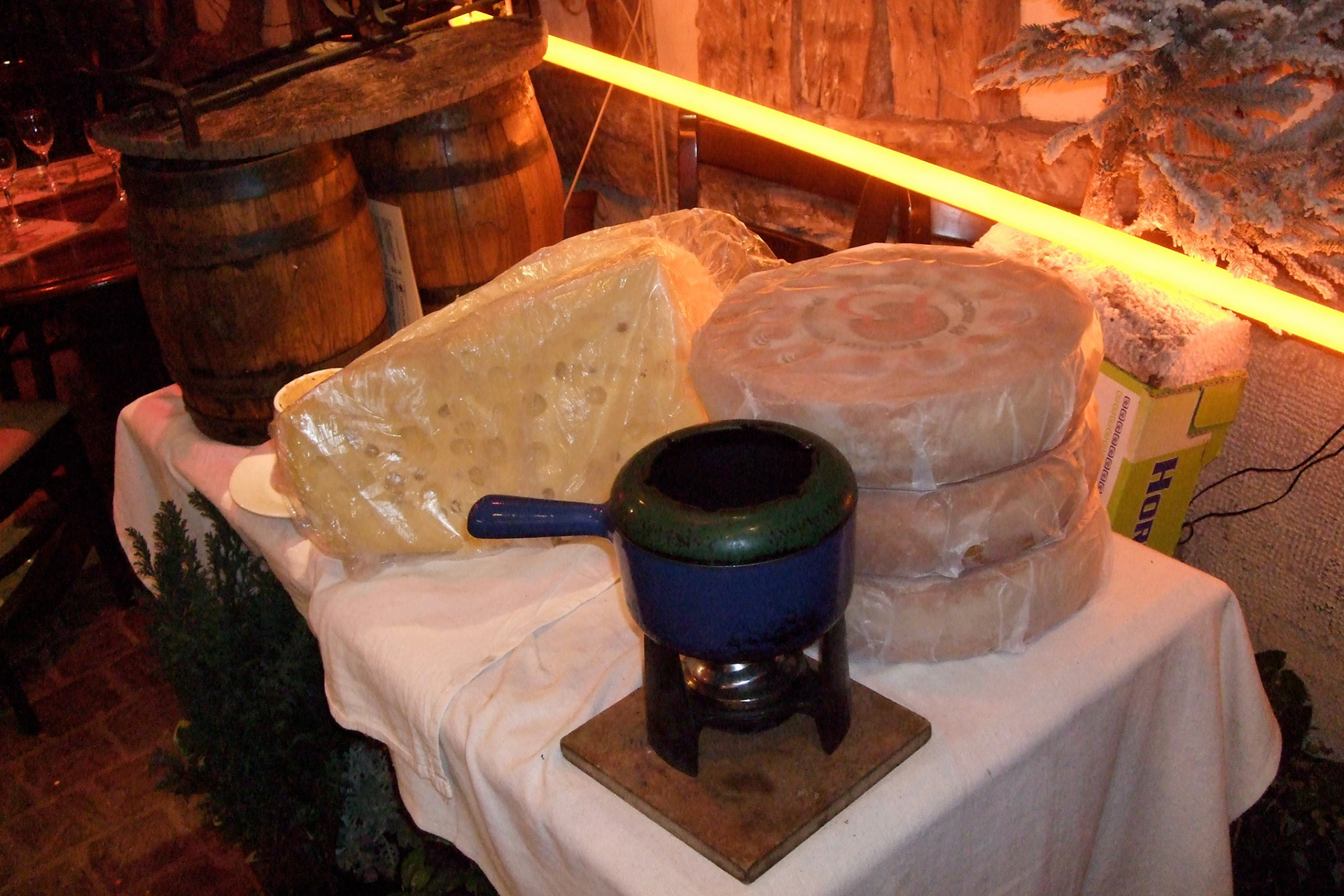 In the evening, I met up with Matt and the girls for dinner. This fondue place had huge blocks of cheese; but was too pricey