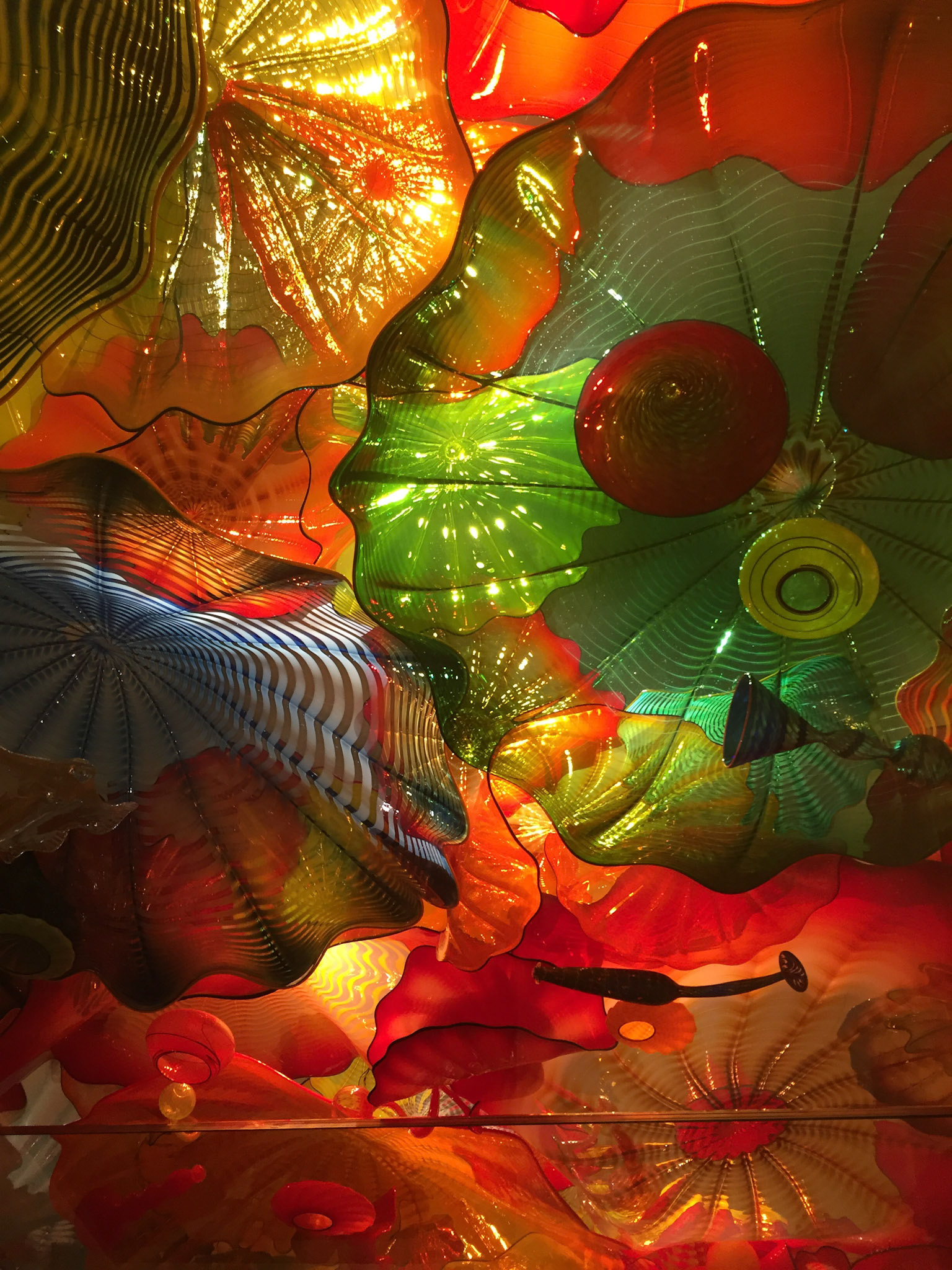 Dale Chihuly's exhibit at the ROM