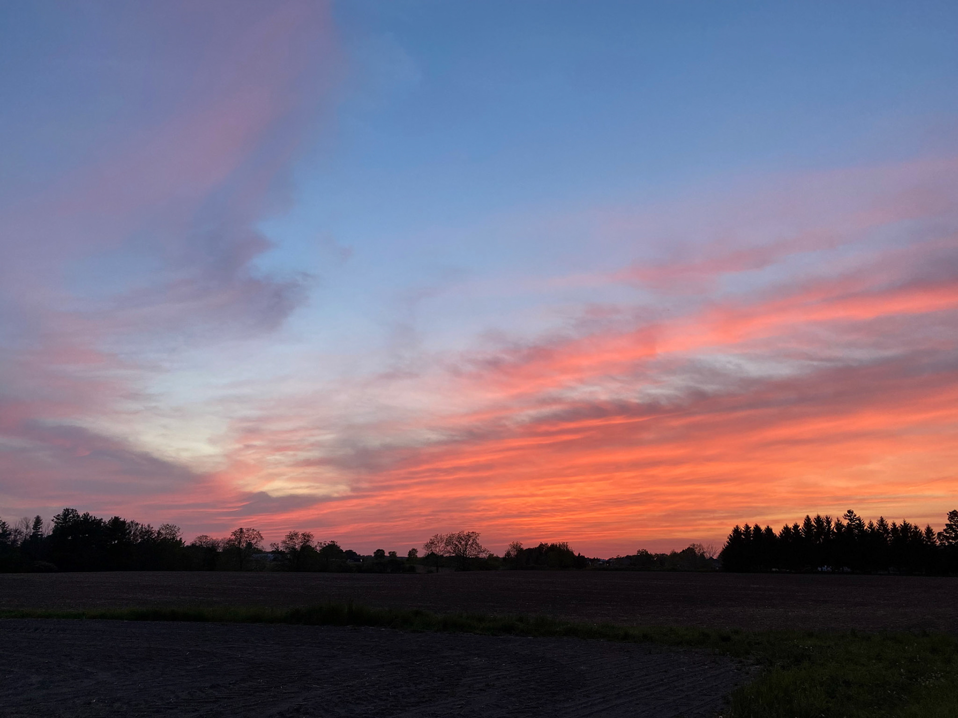 Visiting with Emerson at Laurence's B&amp;B in Iona