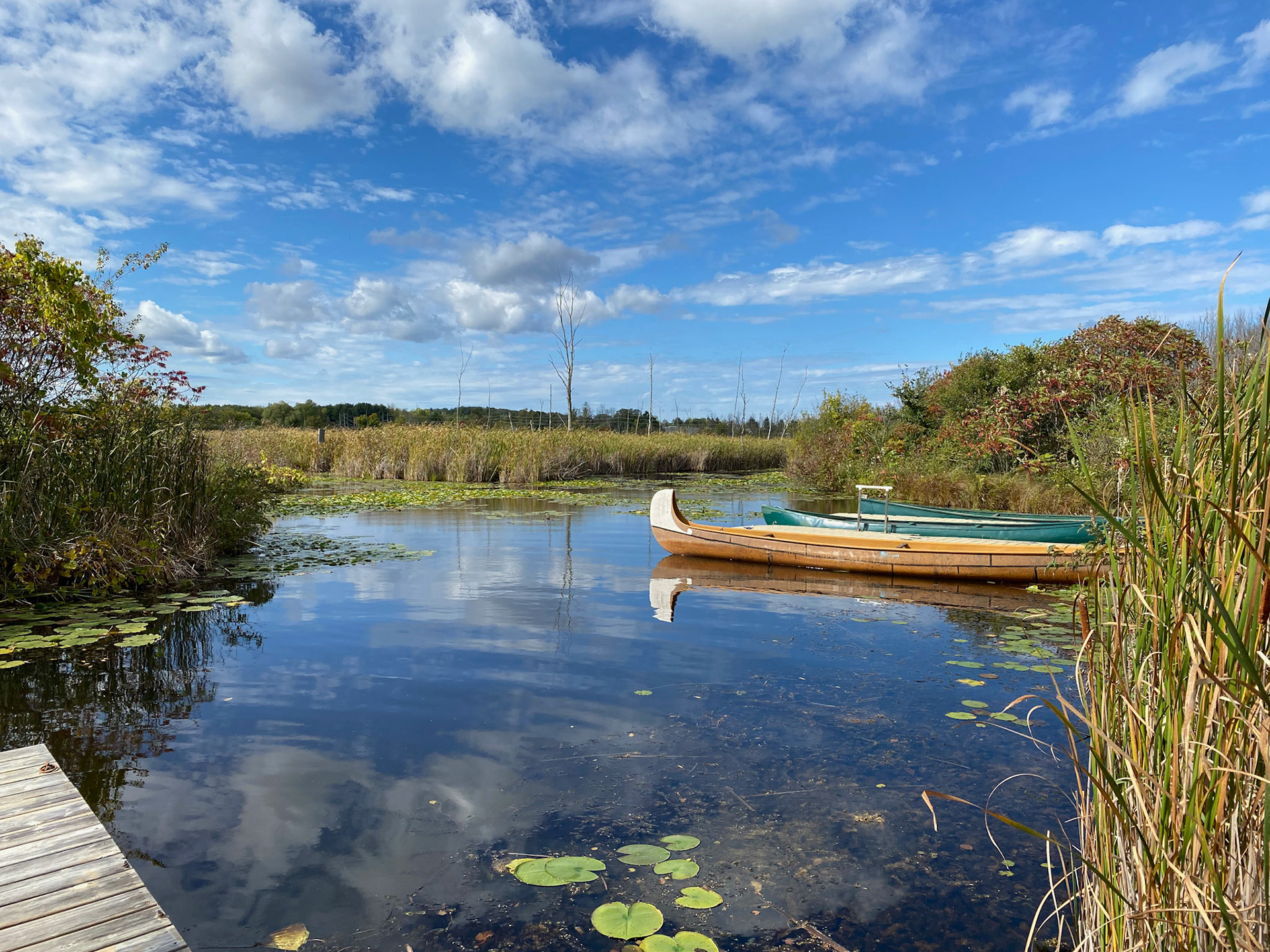 Visit to beautiful Wye Marsh