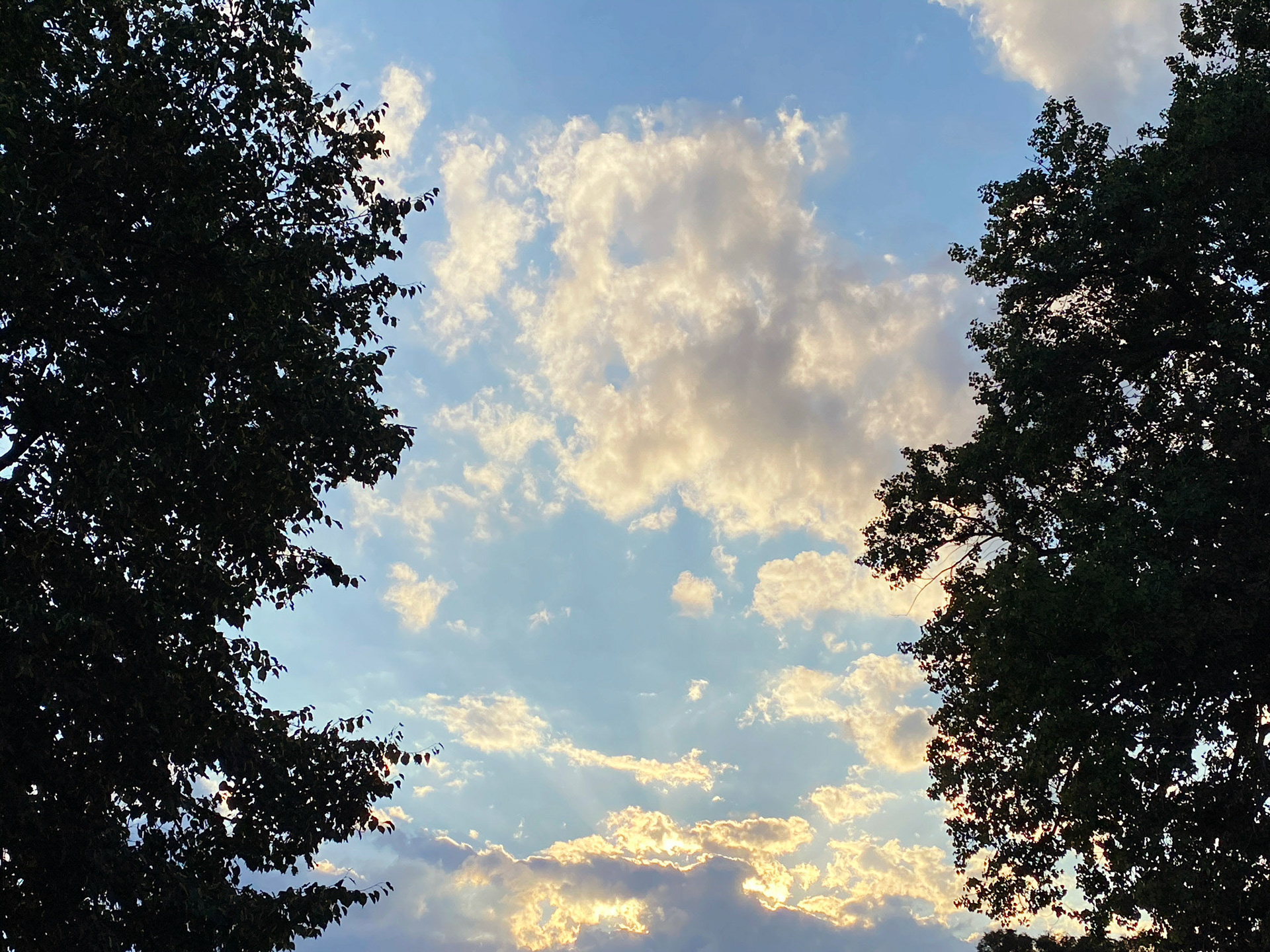 Socially distanced downtown London adventures