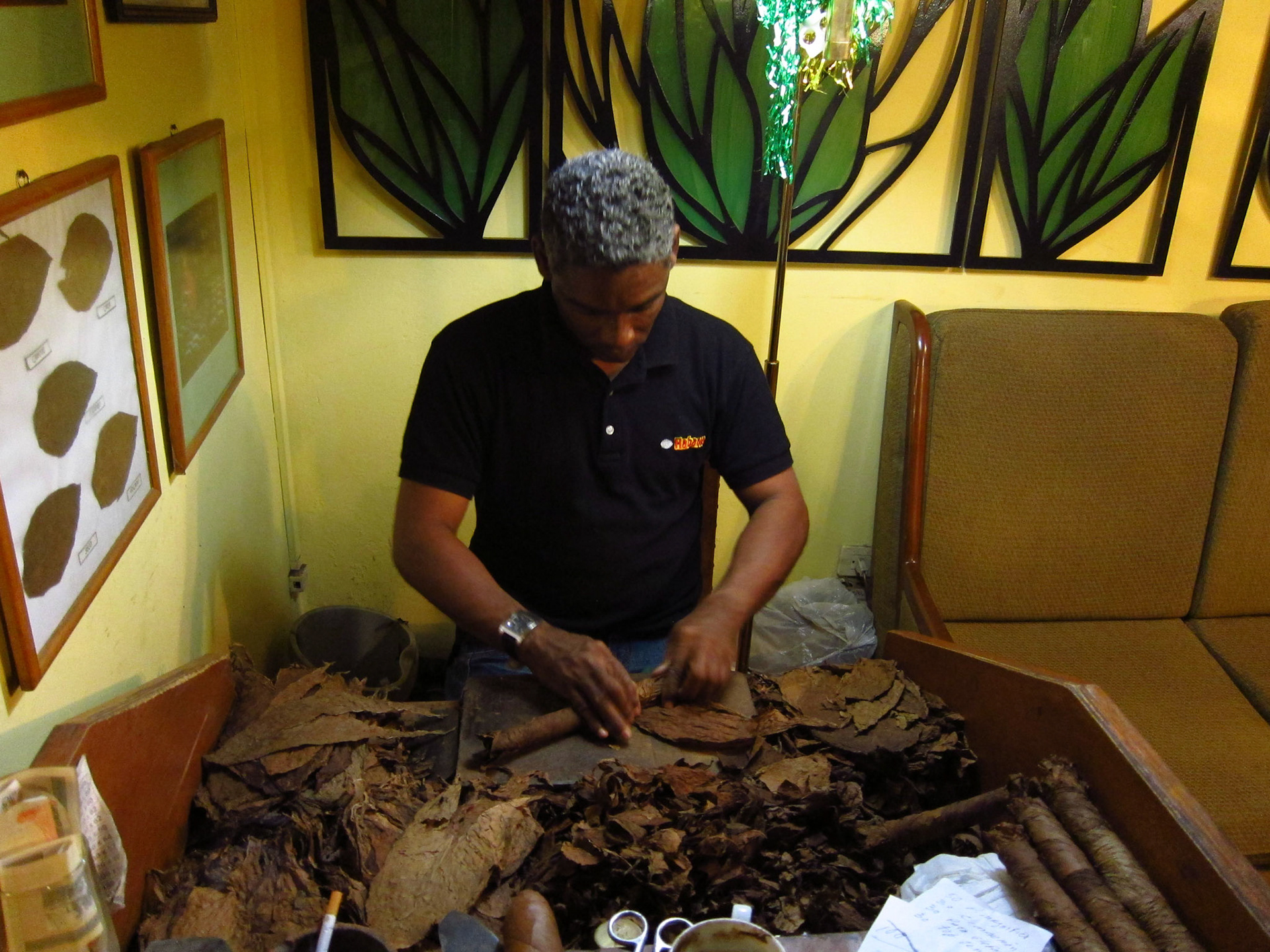 A cigar shop in Havana, a tradesperson rolling a cigar
