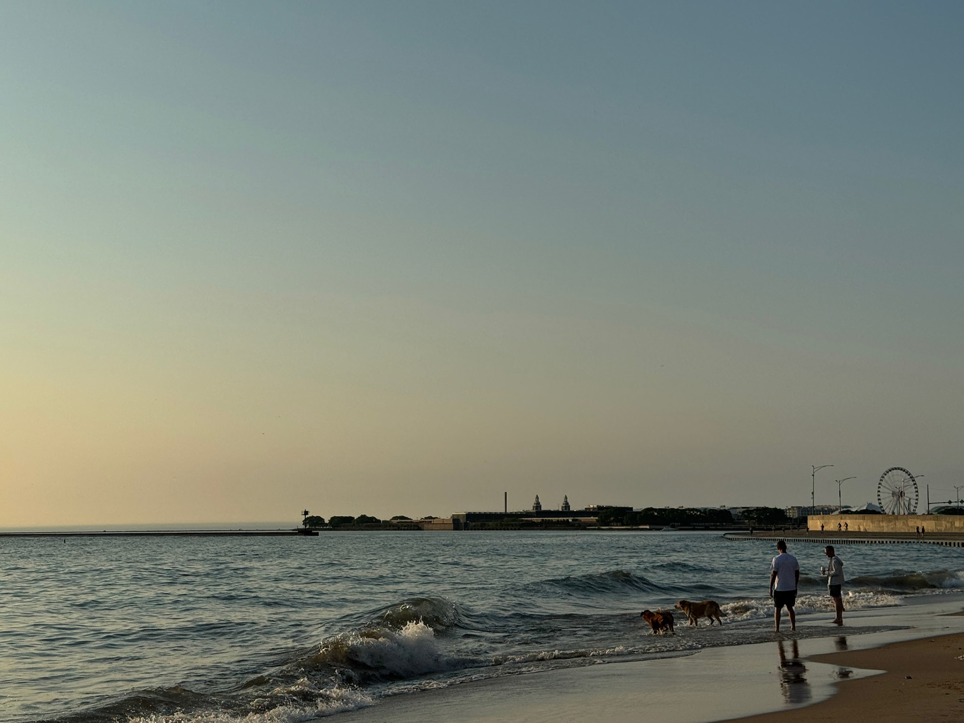 Humans and their doggies playing in the waves