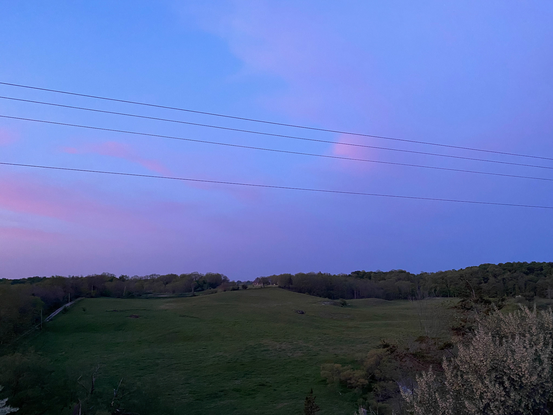 Visiting with Emerson at Laurence's B&amp;B in Iona