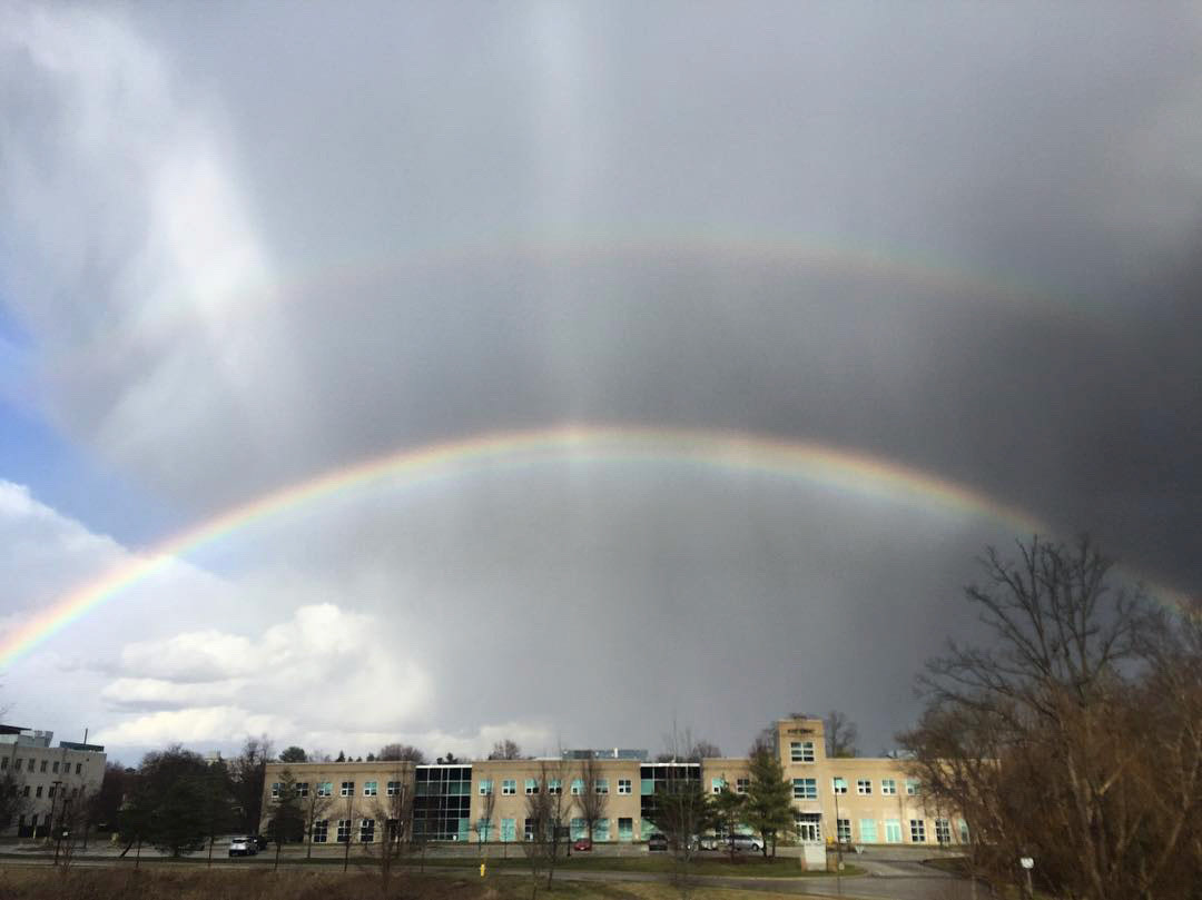 Perfect arch double rainbow at @iabclondon Virtuoso Committee meeting!