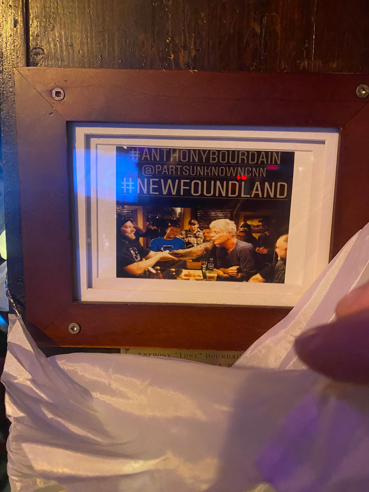 We competed with each other in a fun scavenger hunt of downtown St. John's