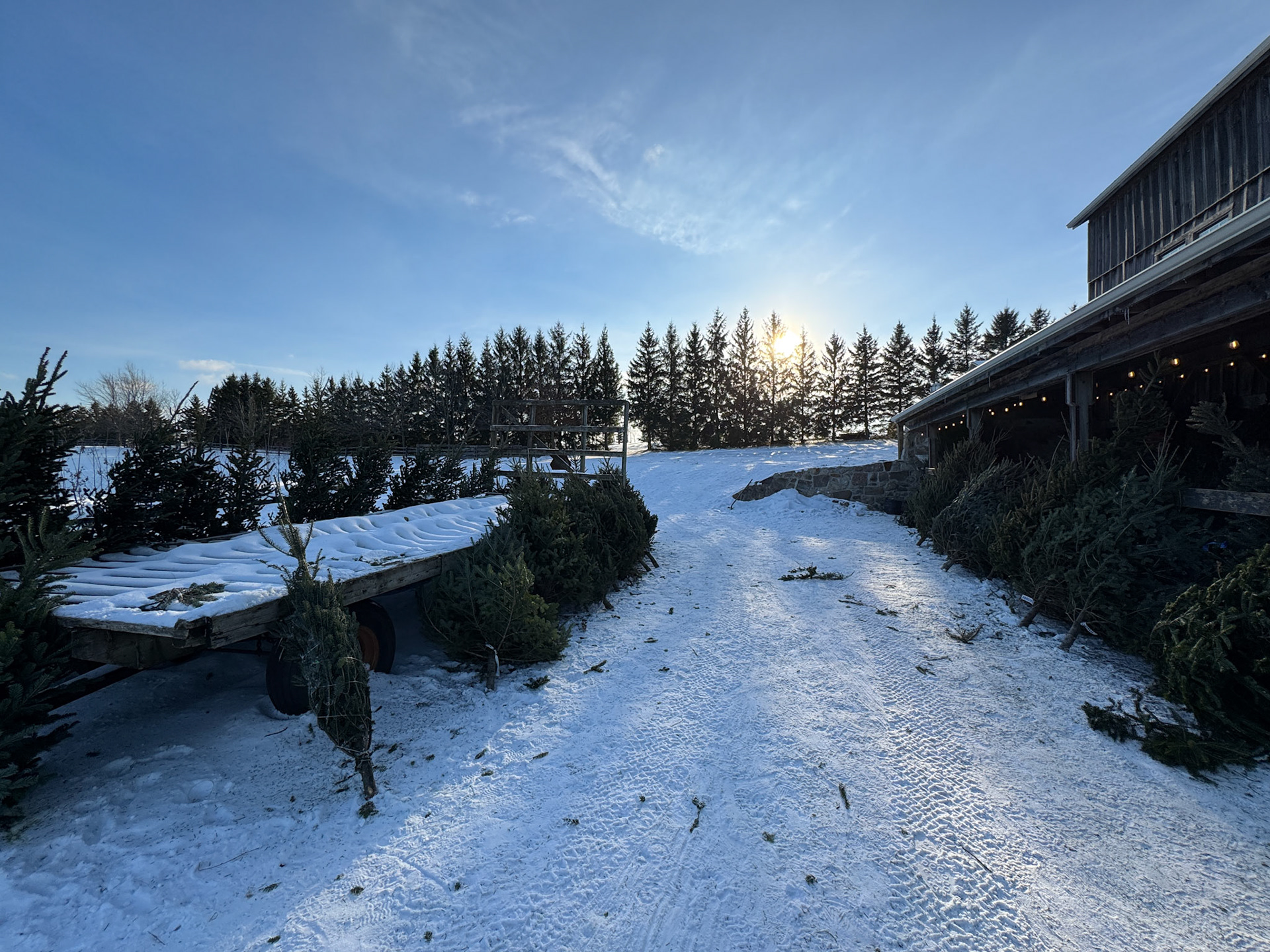 Our third stop was right out of a Hallmark movie, especially with the snow on the ground and beautiful sun. A perfect day to visit Elliot Tree Farm