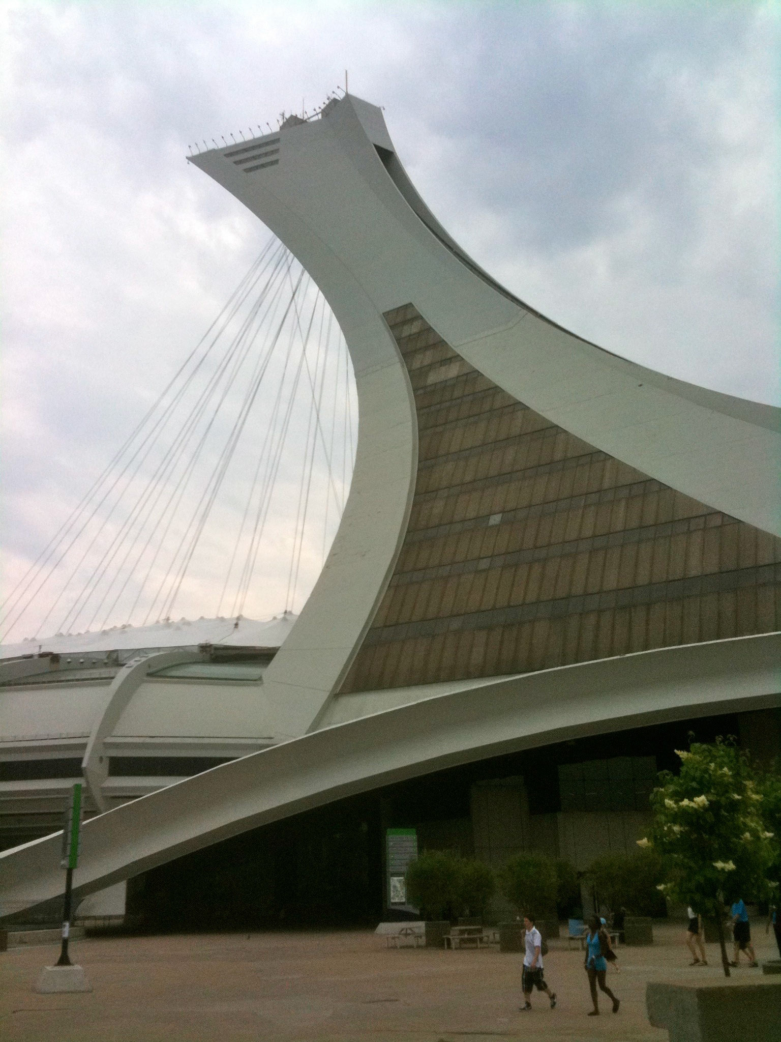 You can kind of see that the structure is looking pretty tattered... and it's not even that old really