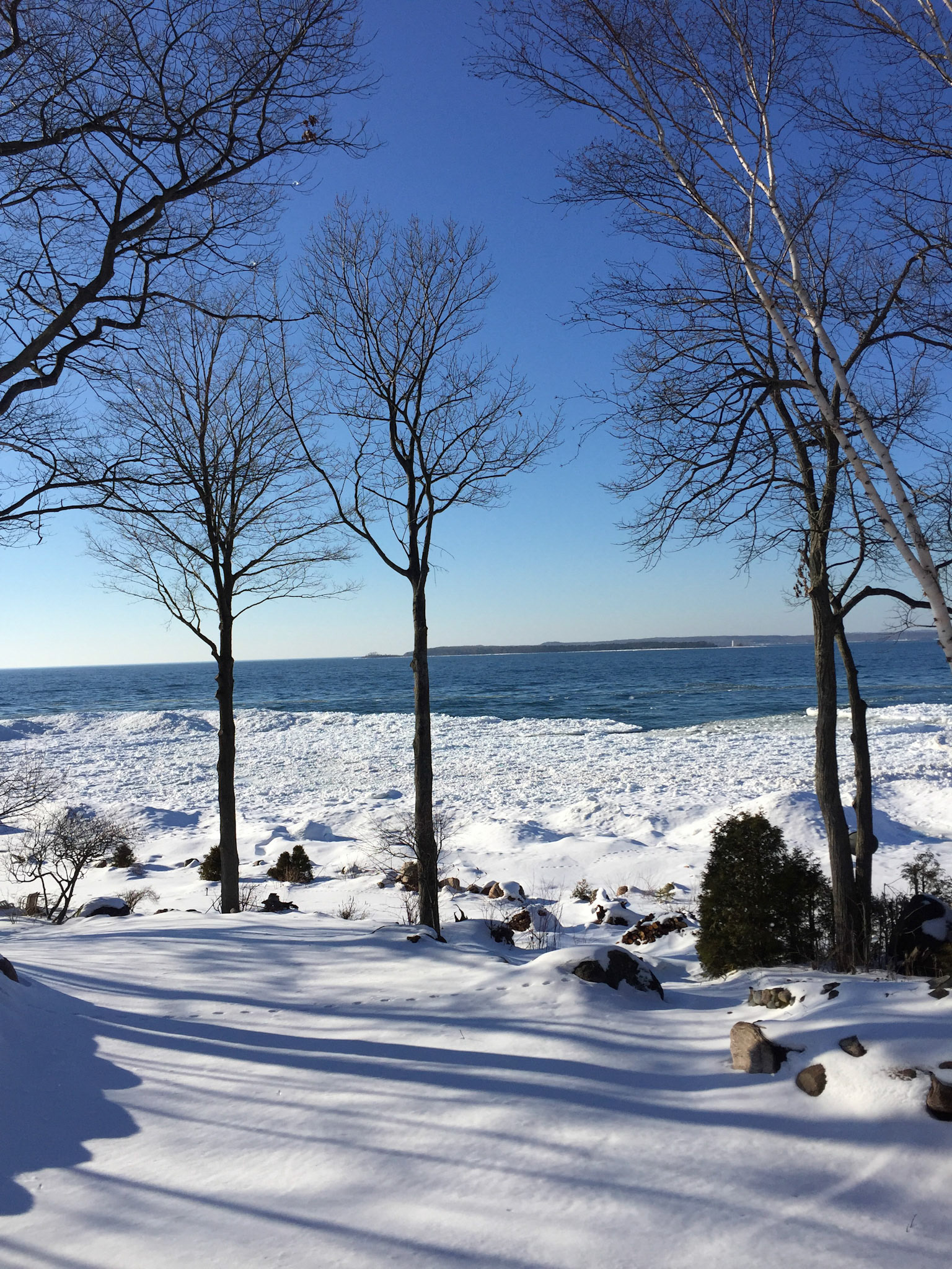 Paradise on this spring-like winter day! My view this weekend 😊