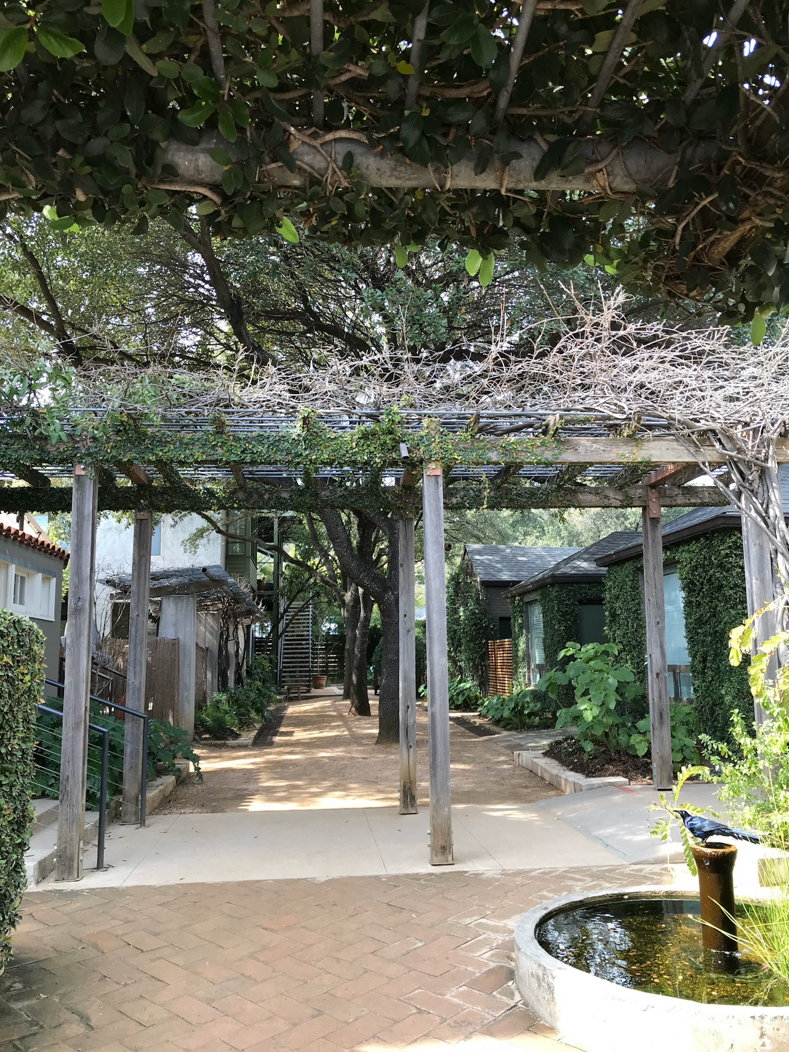 Austin South Congress exploration