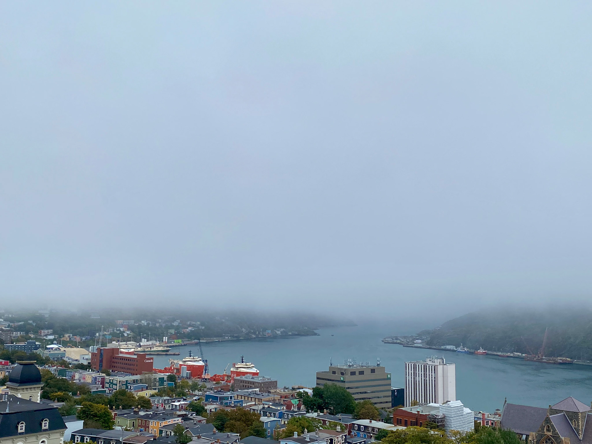 Overlooking St. John's