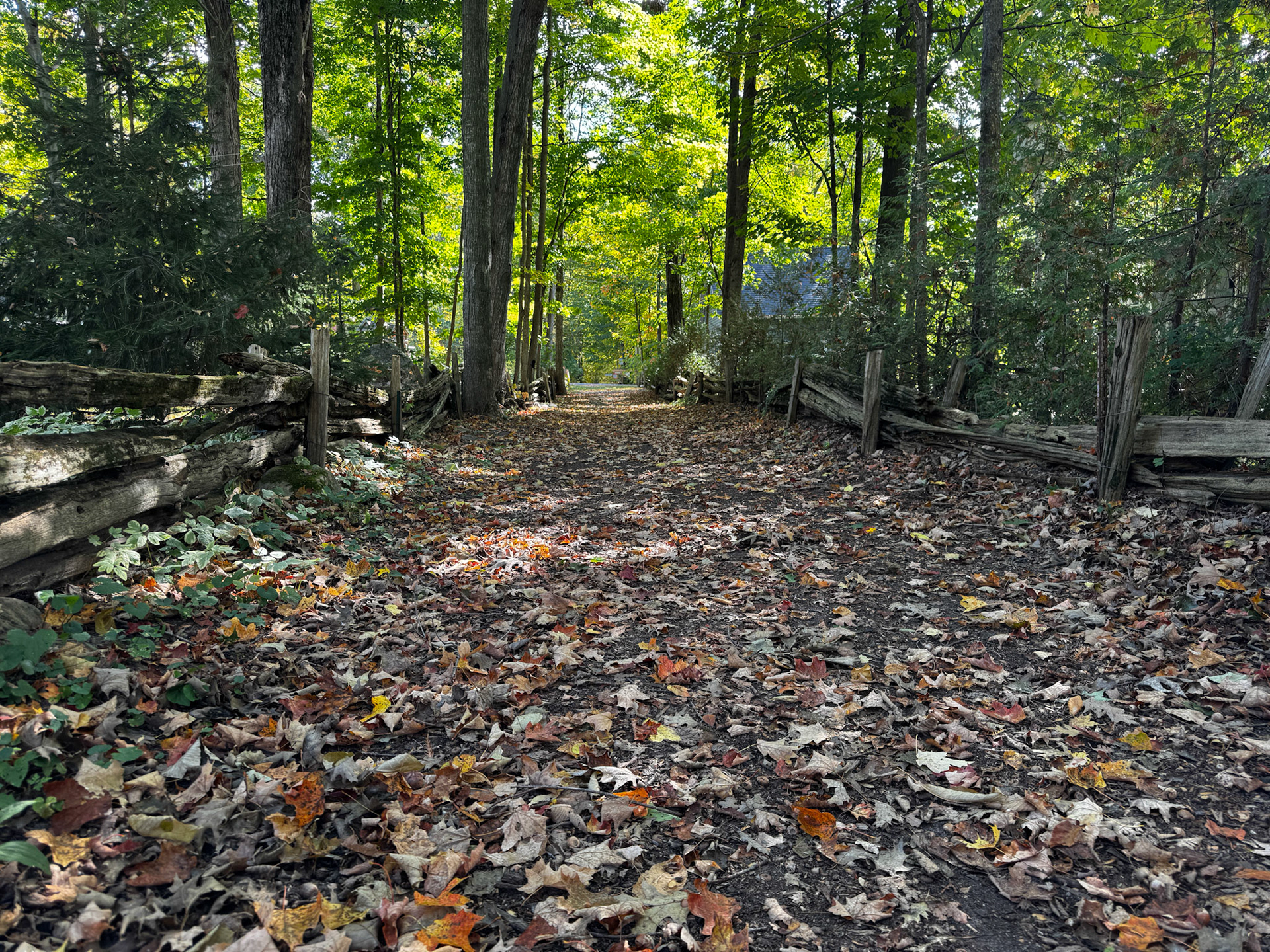 Thanksgiving at the cottage - 2025