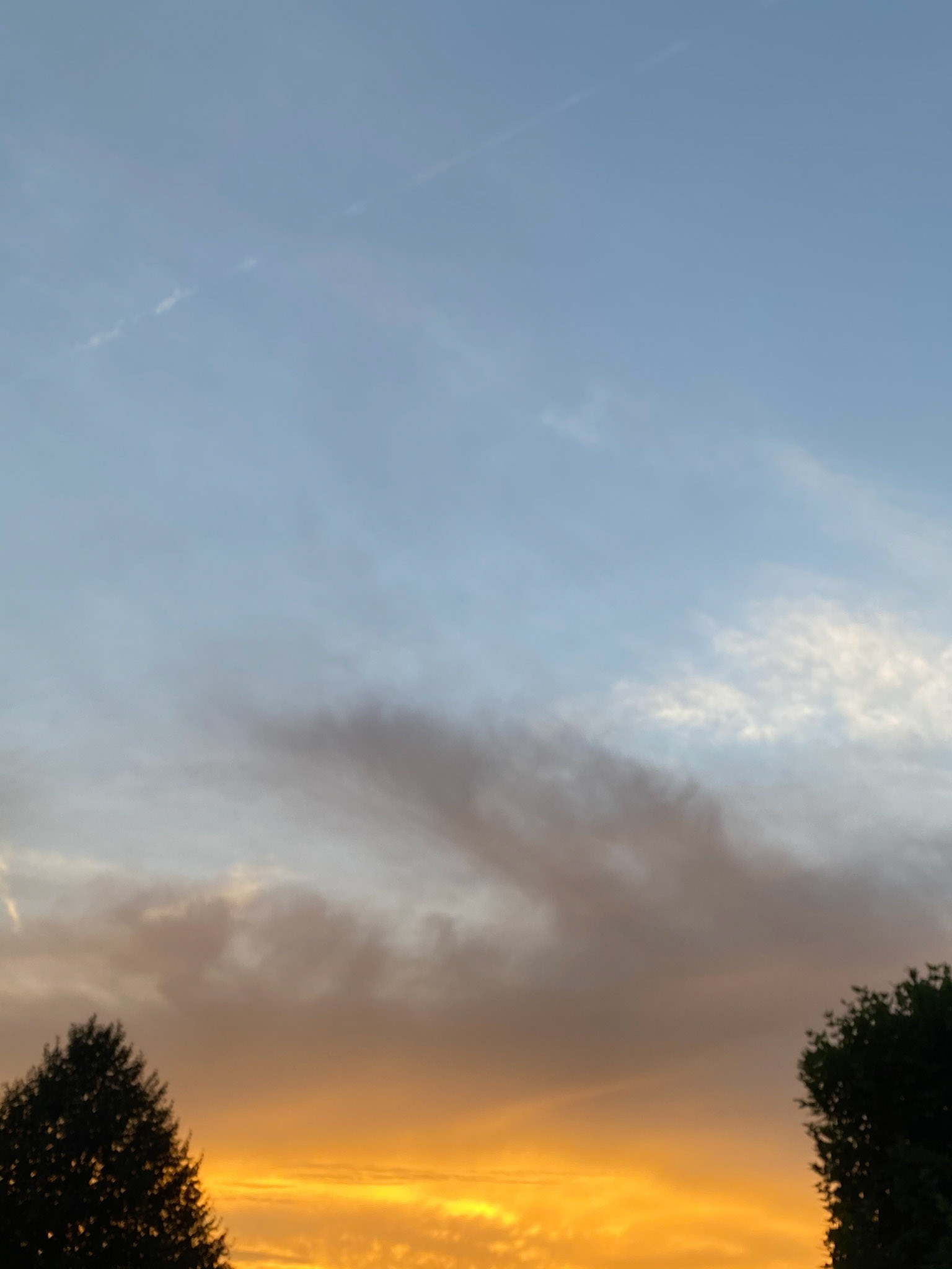 Socially-distant PMCL Pride photo shoot with Jason and Ashley Plant!