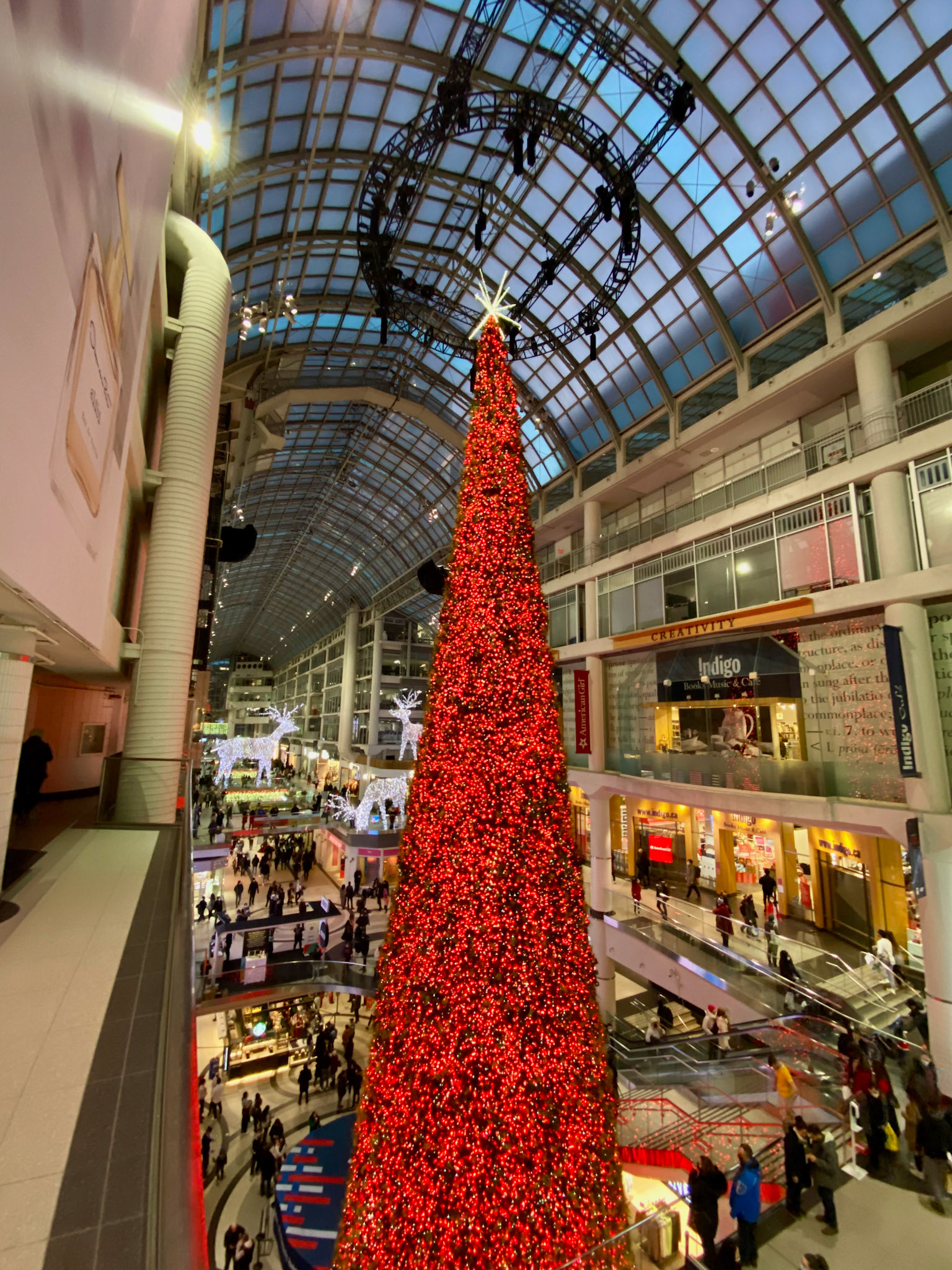 Toronto at Christmas December 2022