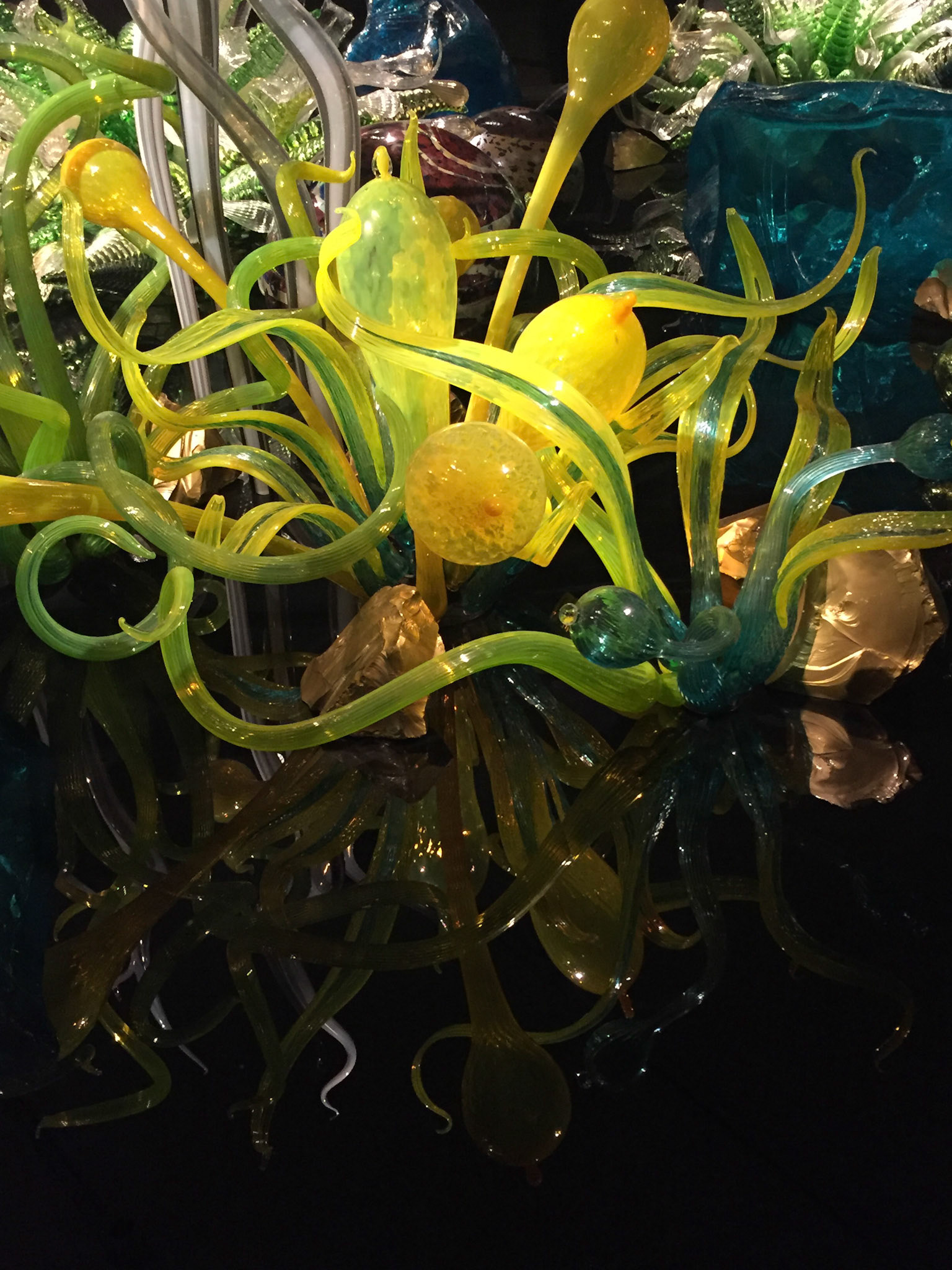 Dale Chihuly's exhibit at the ROM