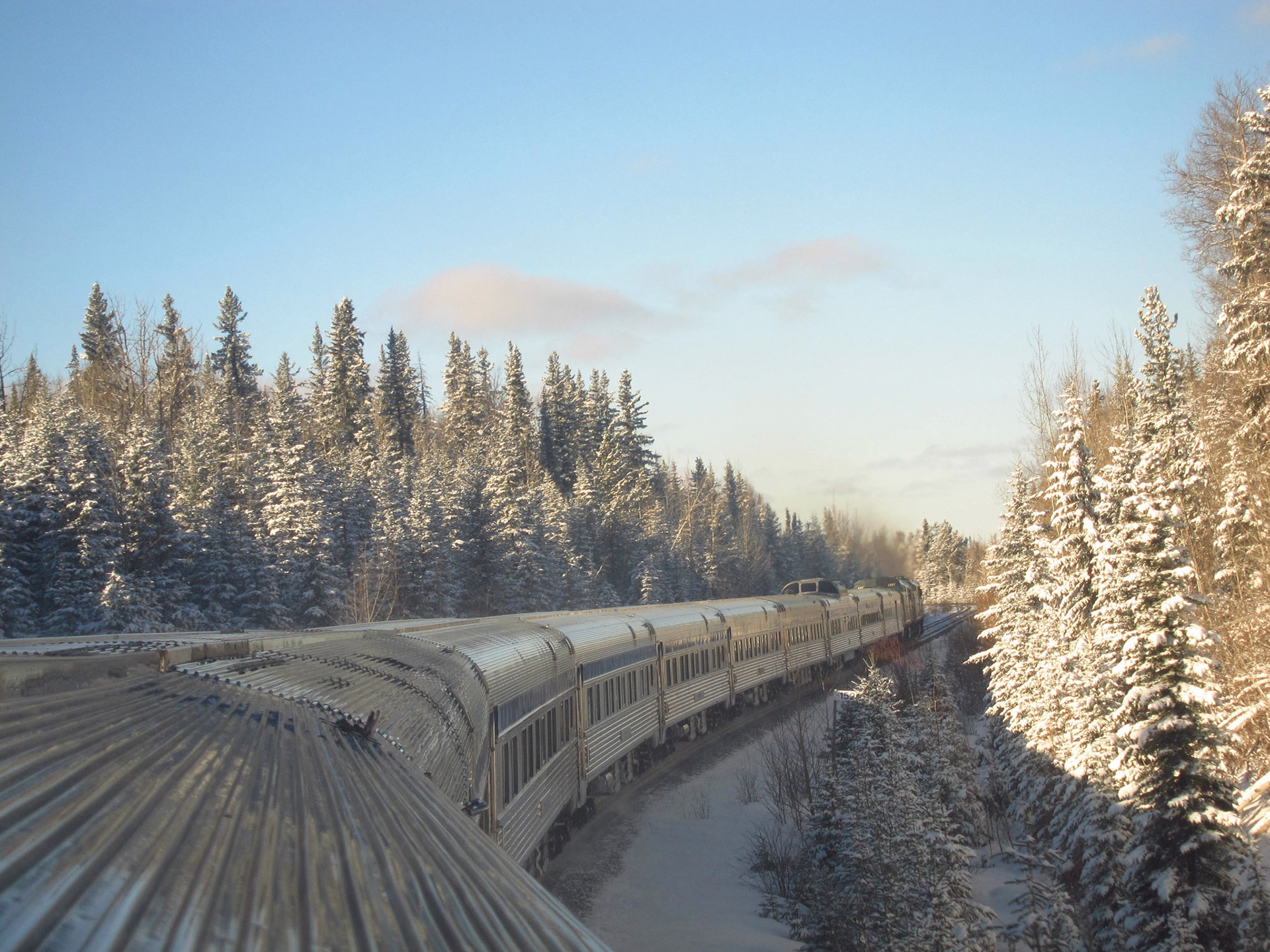 Nearing the Alberta Rockies, the prairies start giving way to tall forests